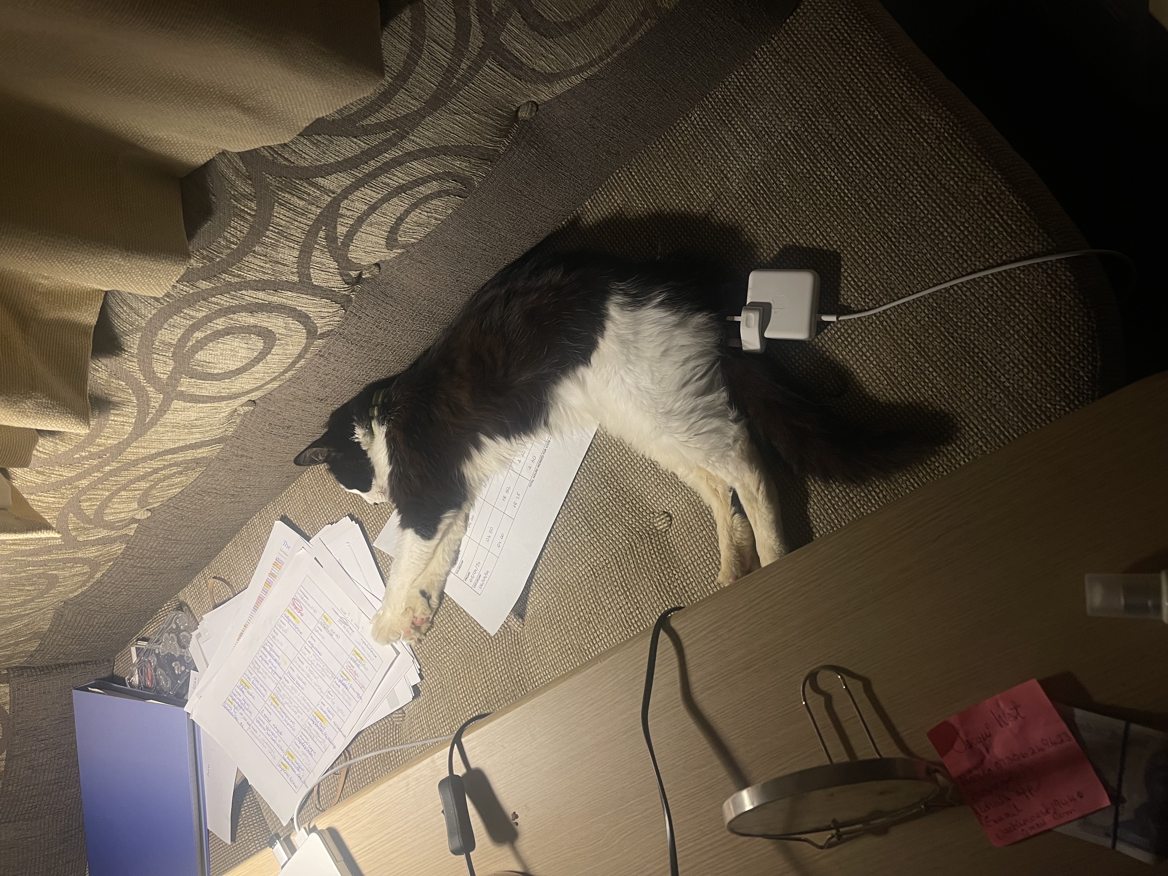 image-13