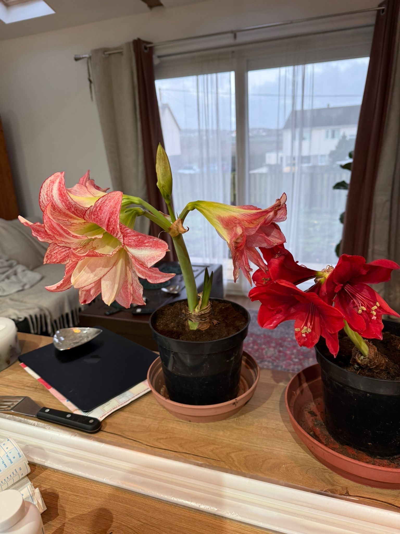 image-23