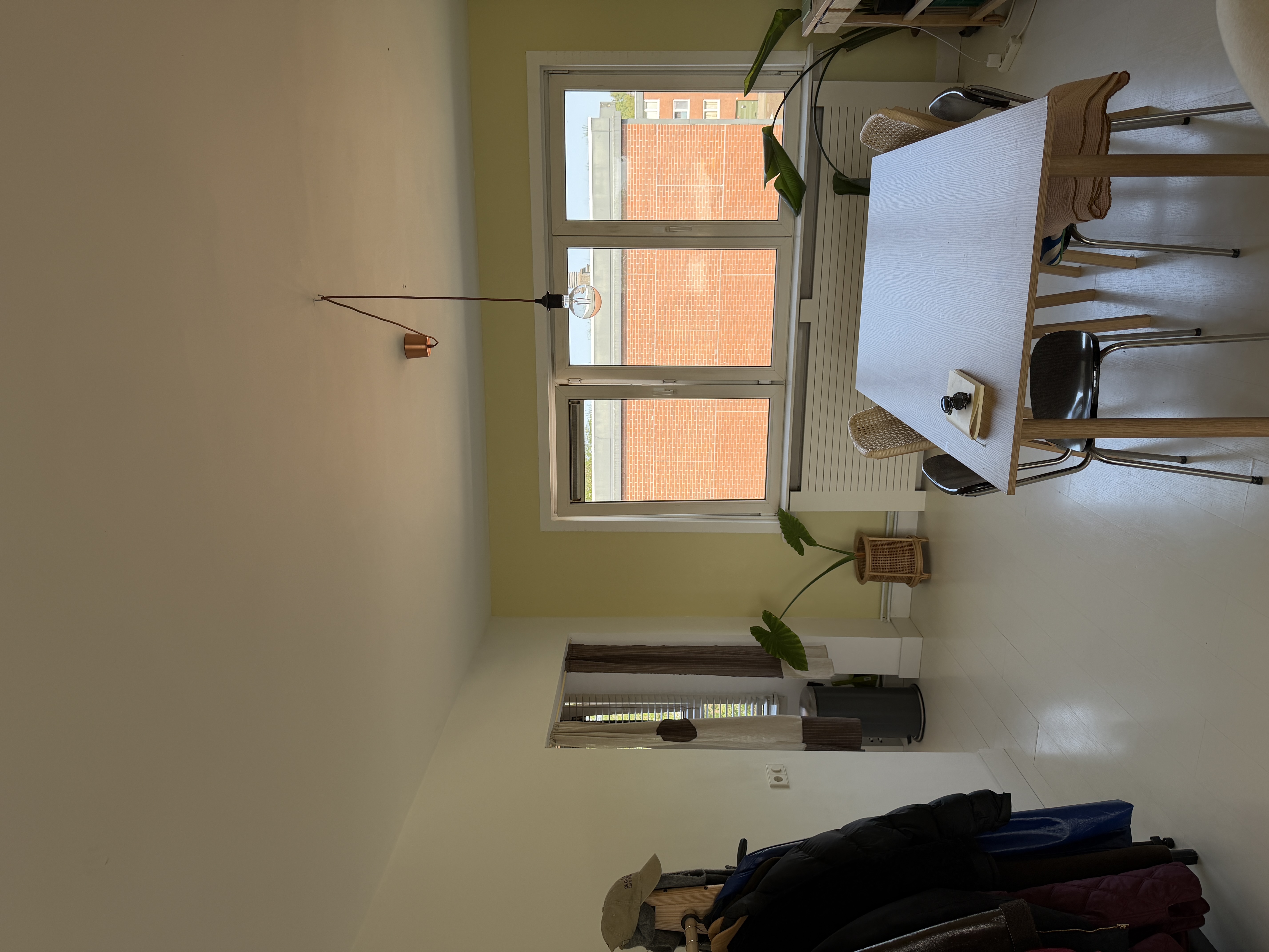 image-19