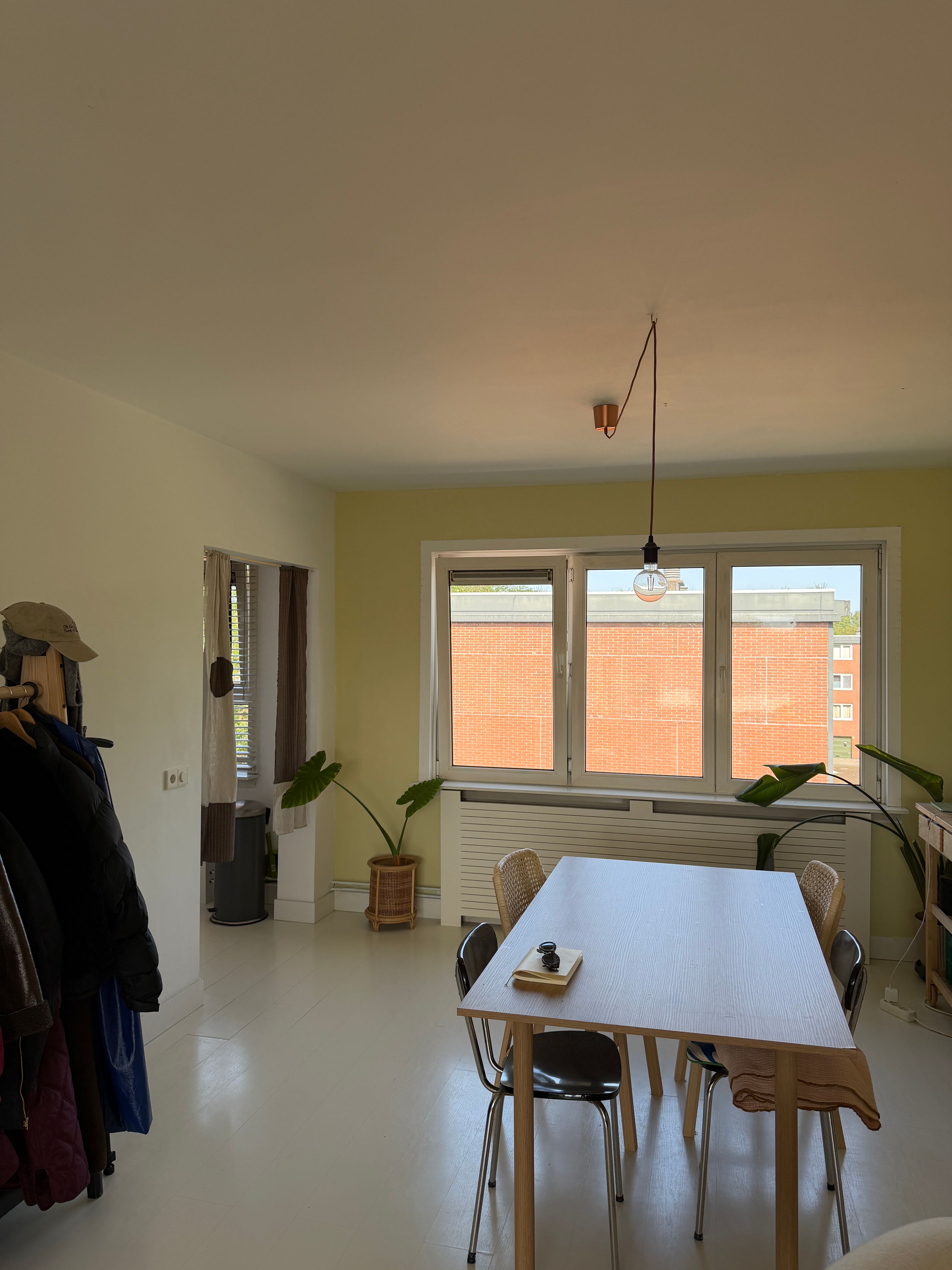 image-19