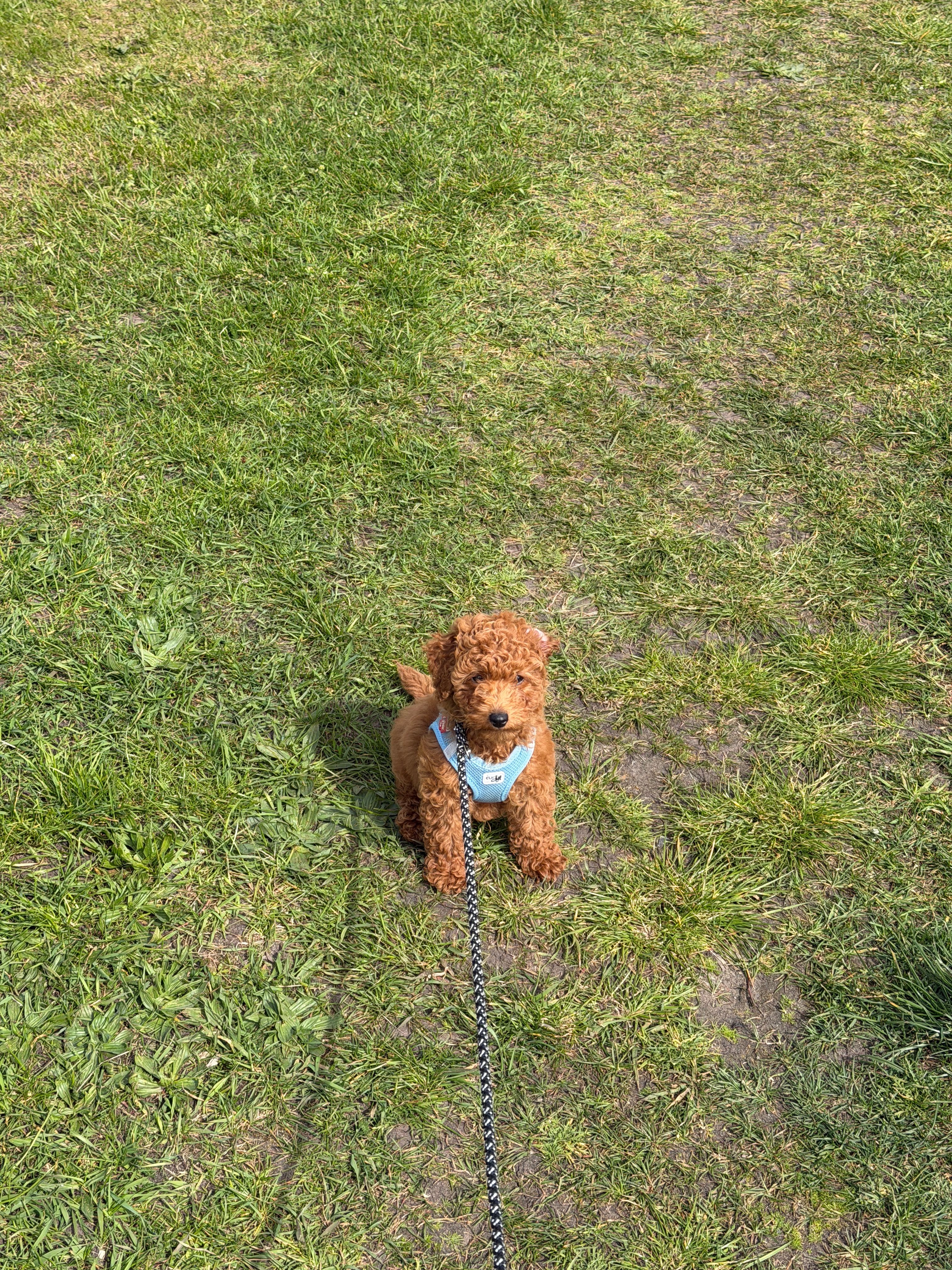 image-16