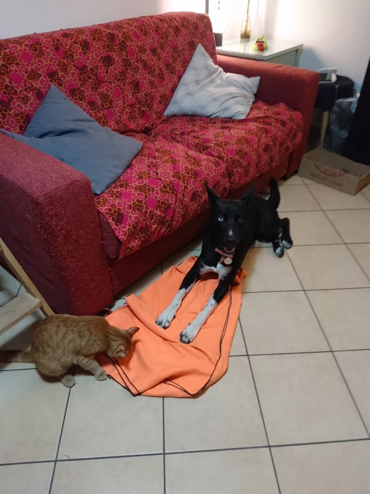 image-5