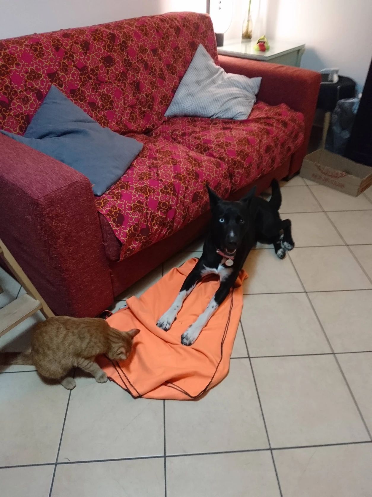 image-5
