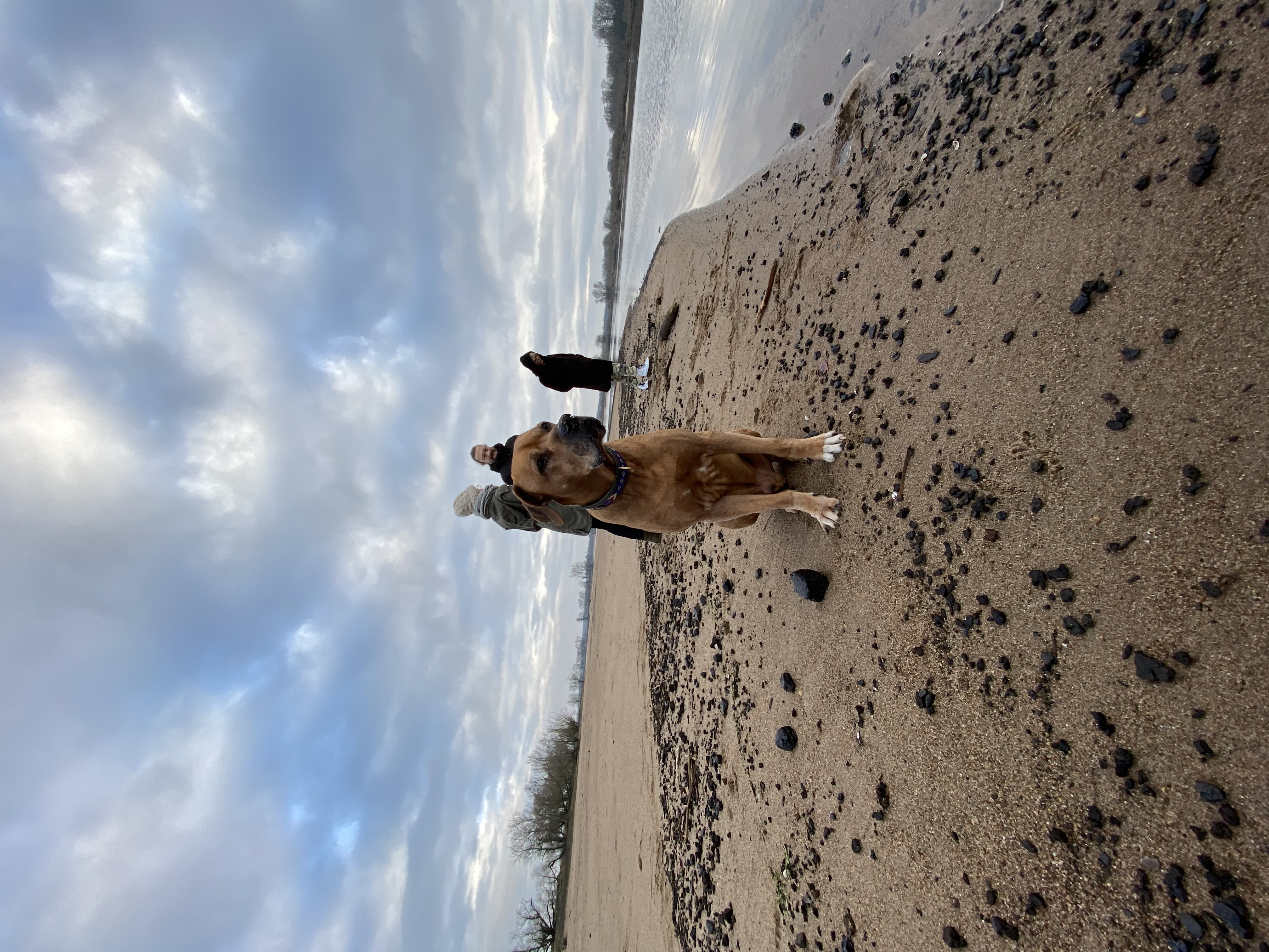 image-7