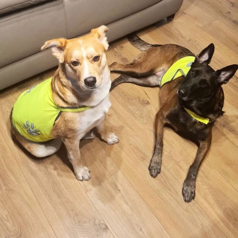 image-0