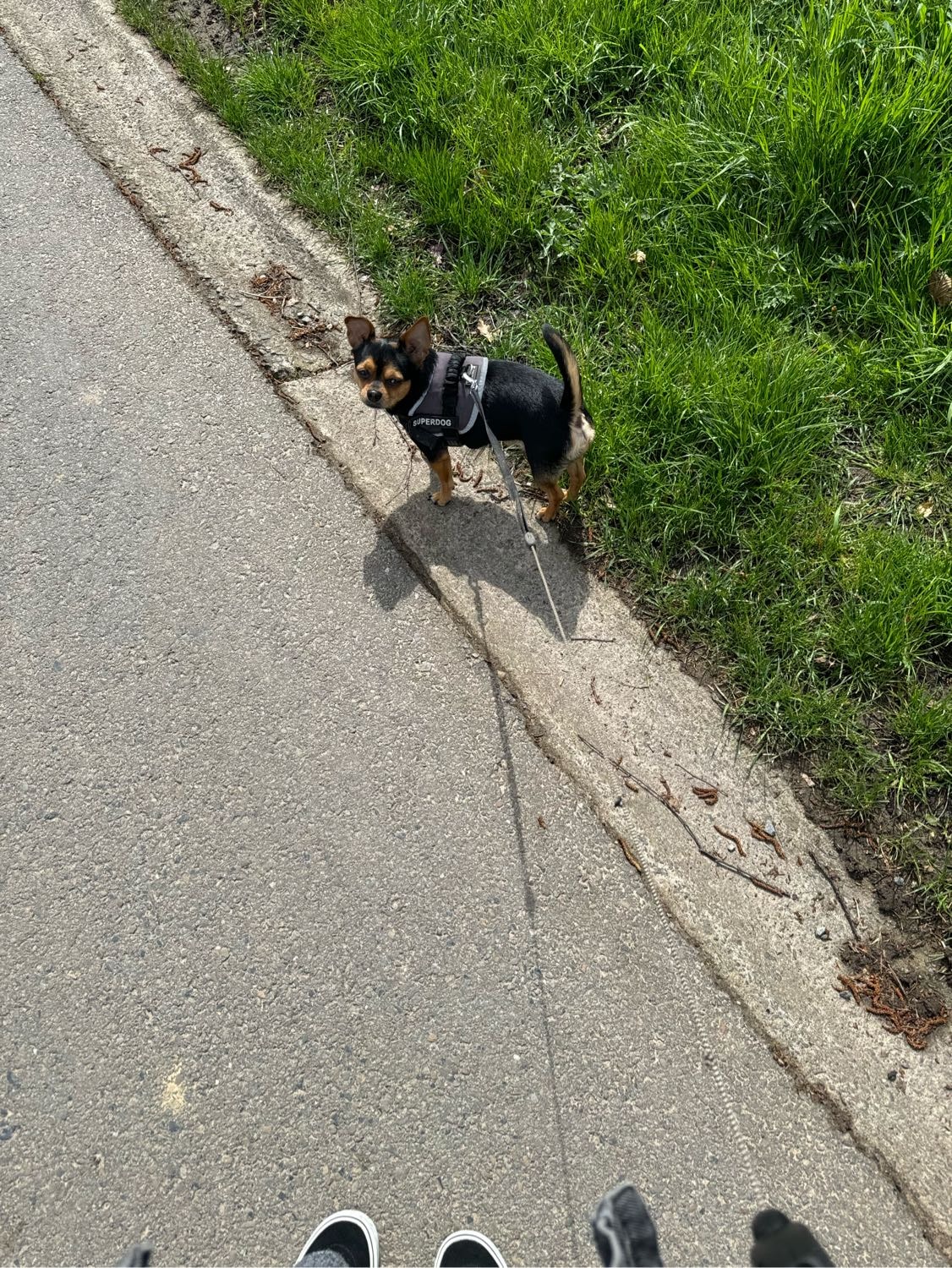 image-10