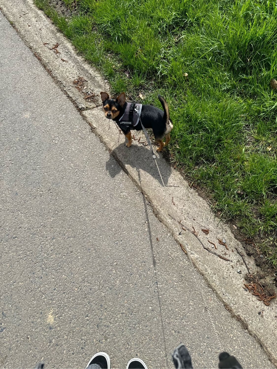 image-10