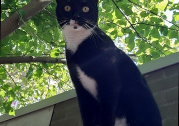 George
