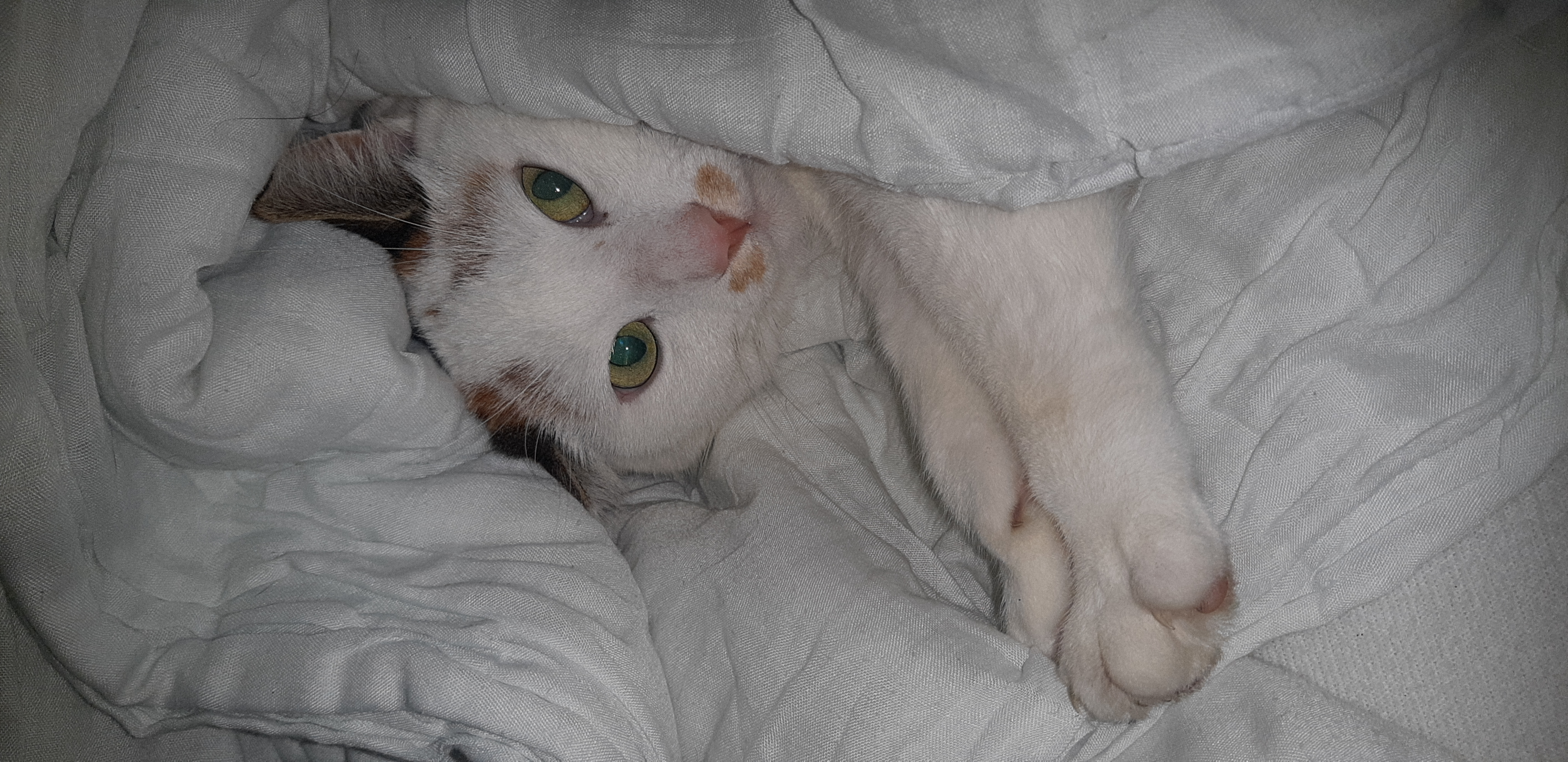 image-6