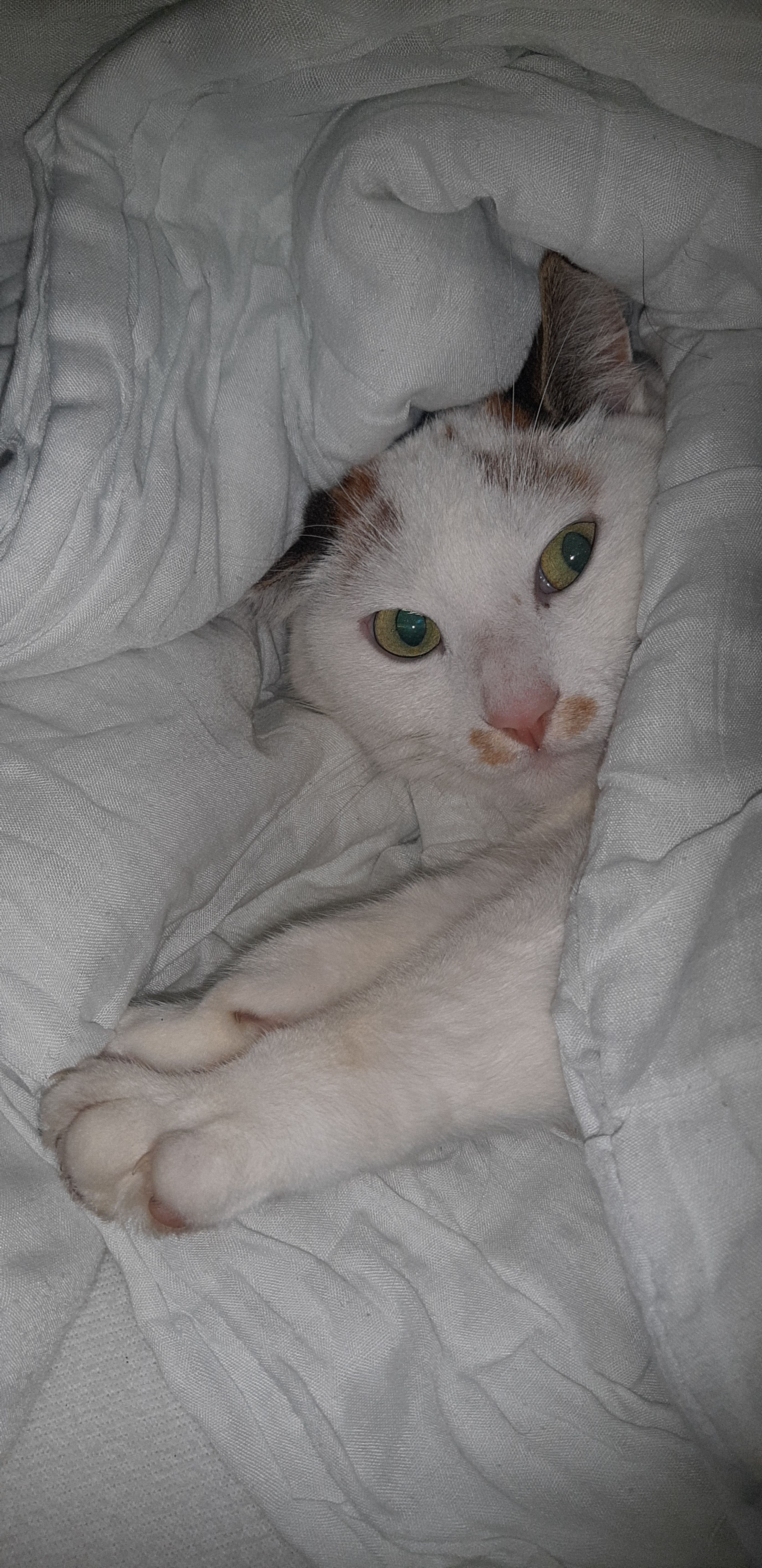 image-6