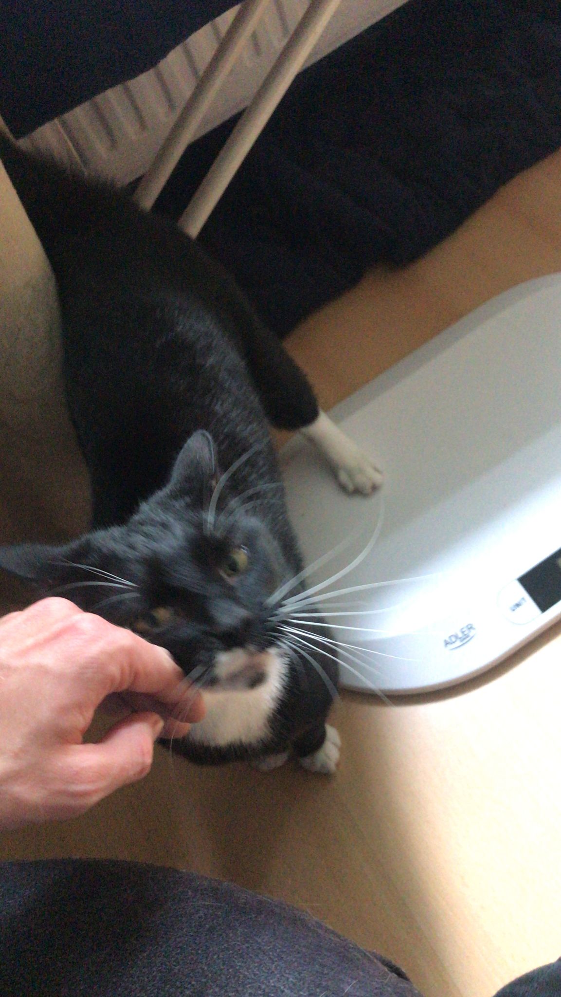 image-11