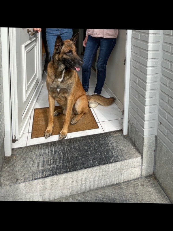 image-11