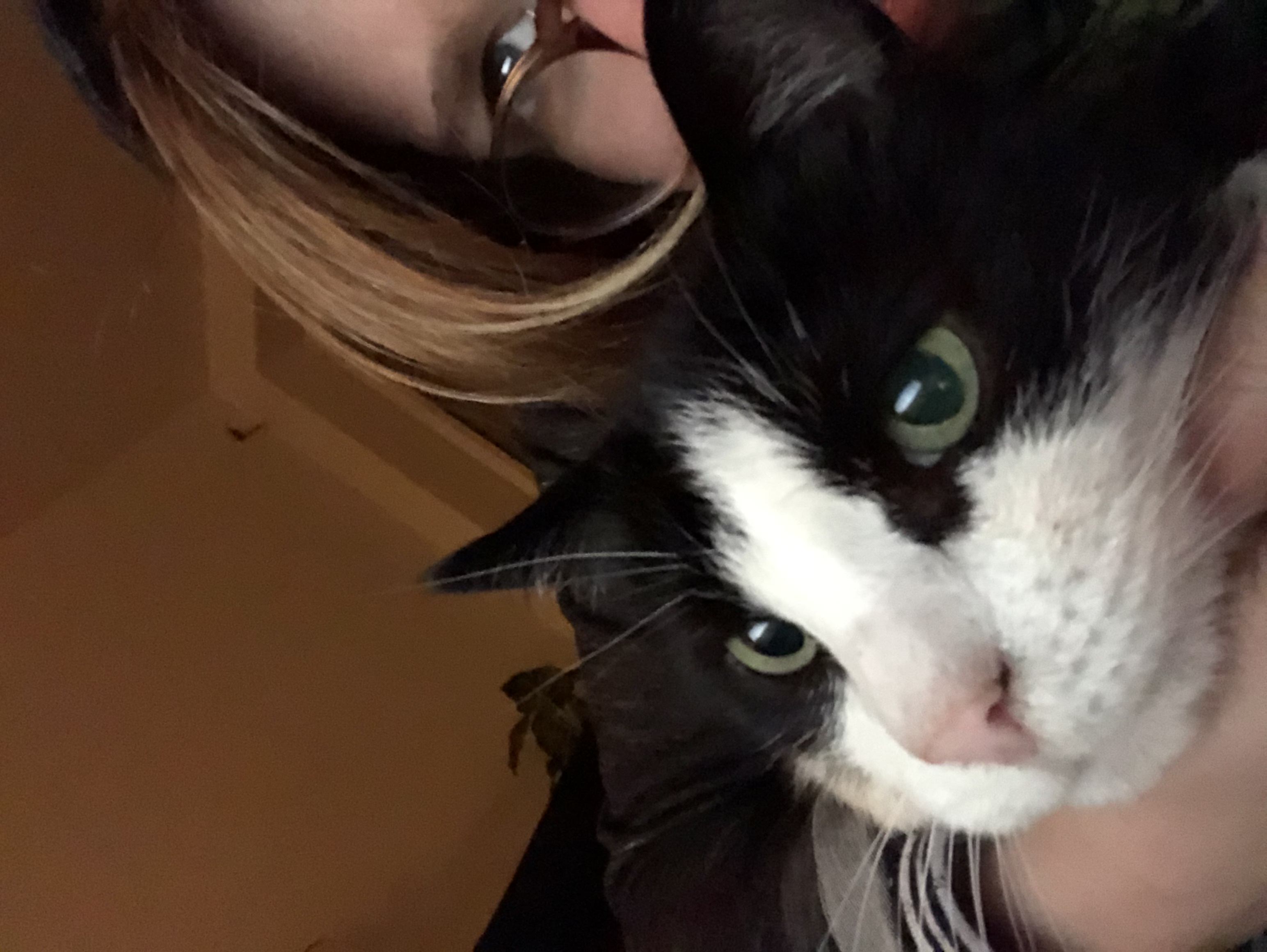 image-6