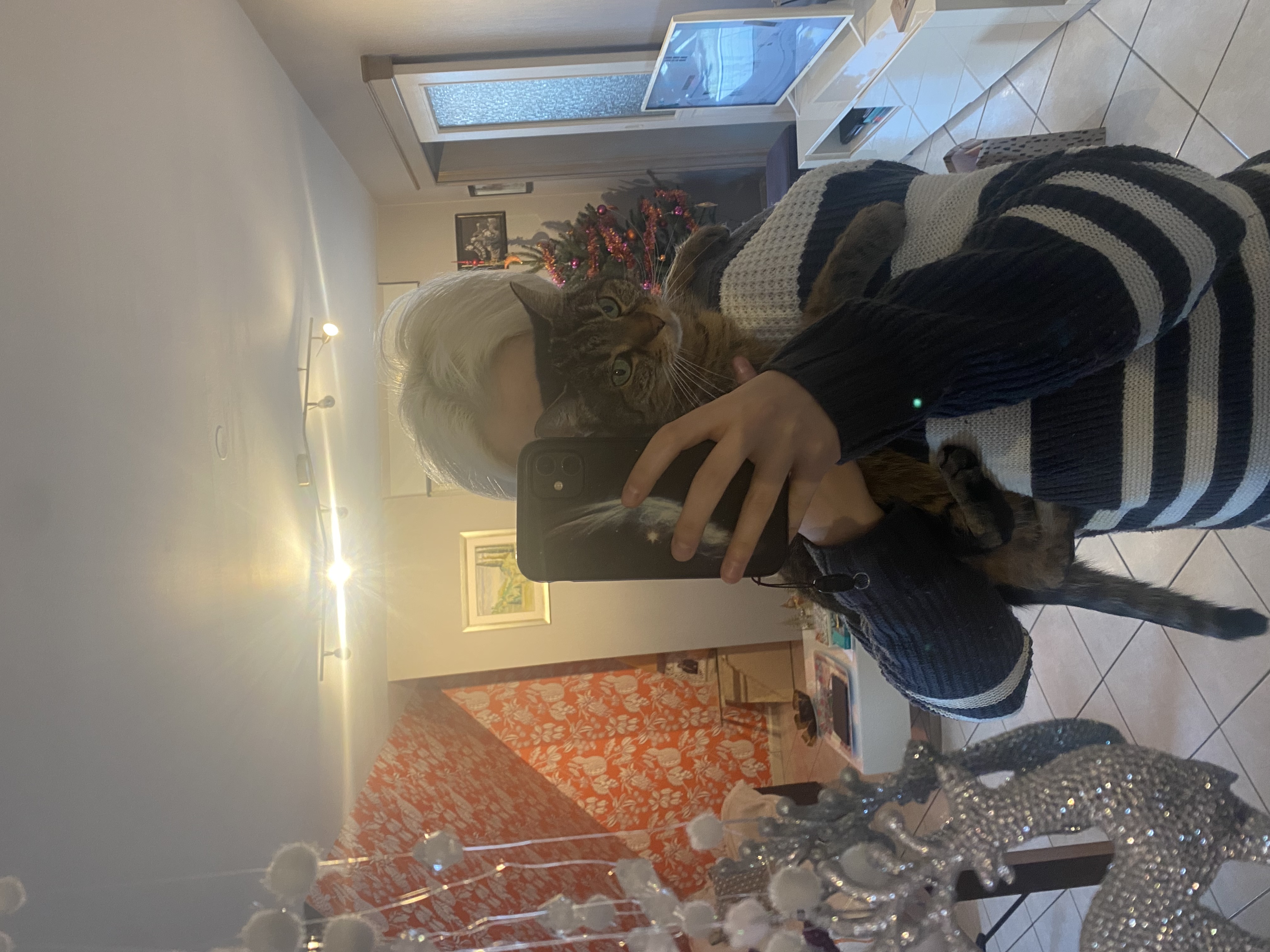 image-5