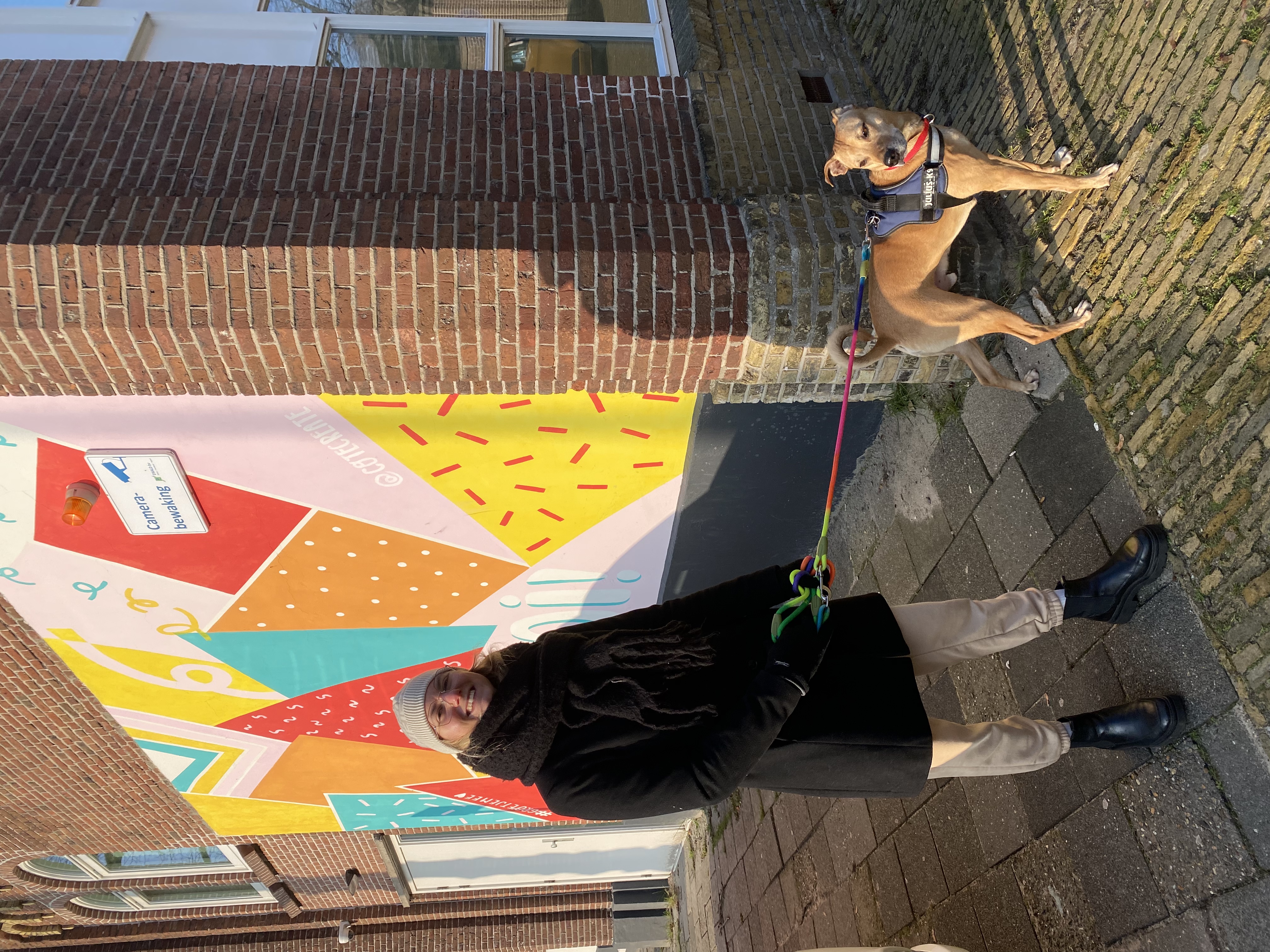 image-17