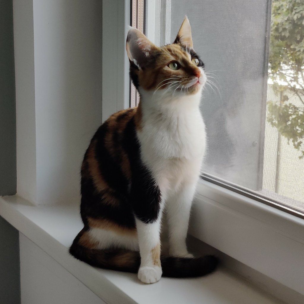 Luna