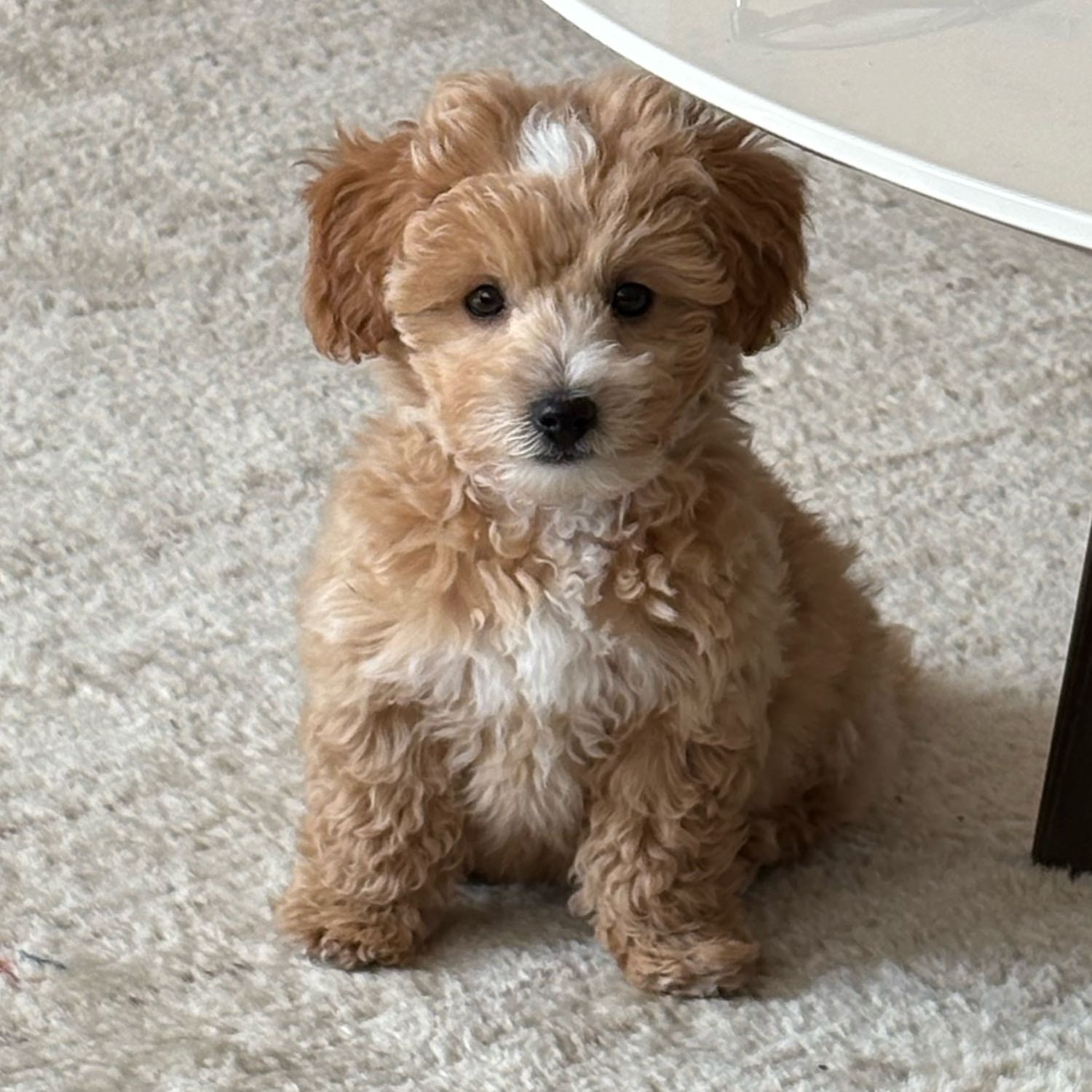 Charlie