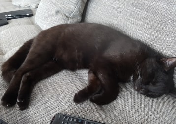 Tabsi
