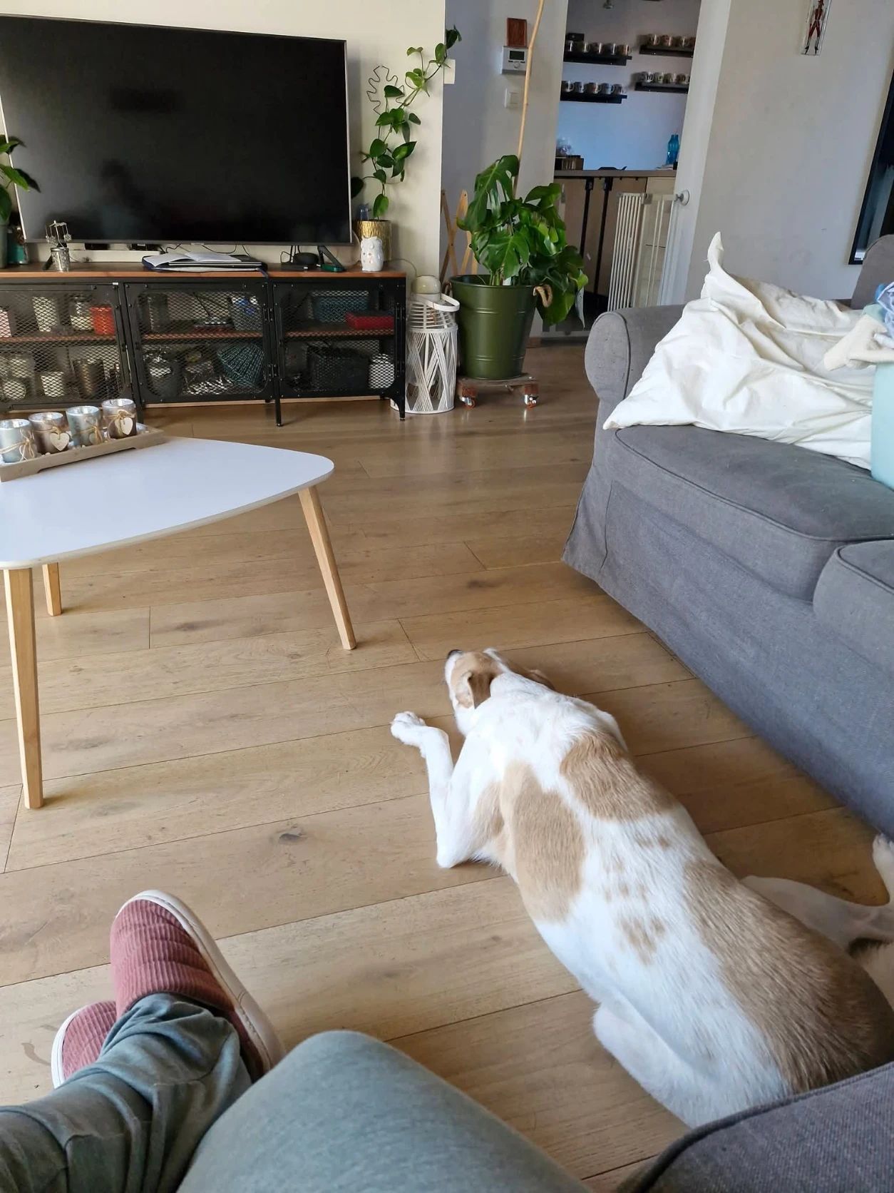 image-9