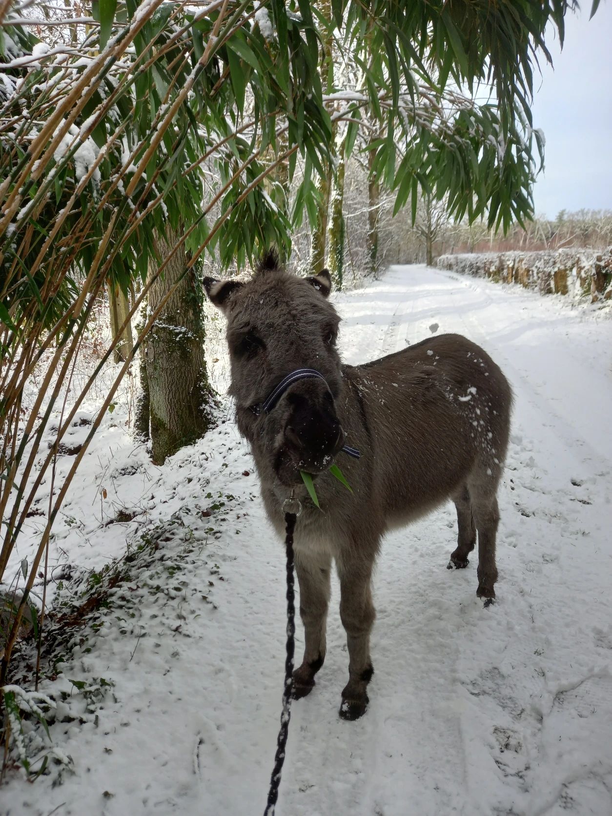 image-8