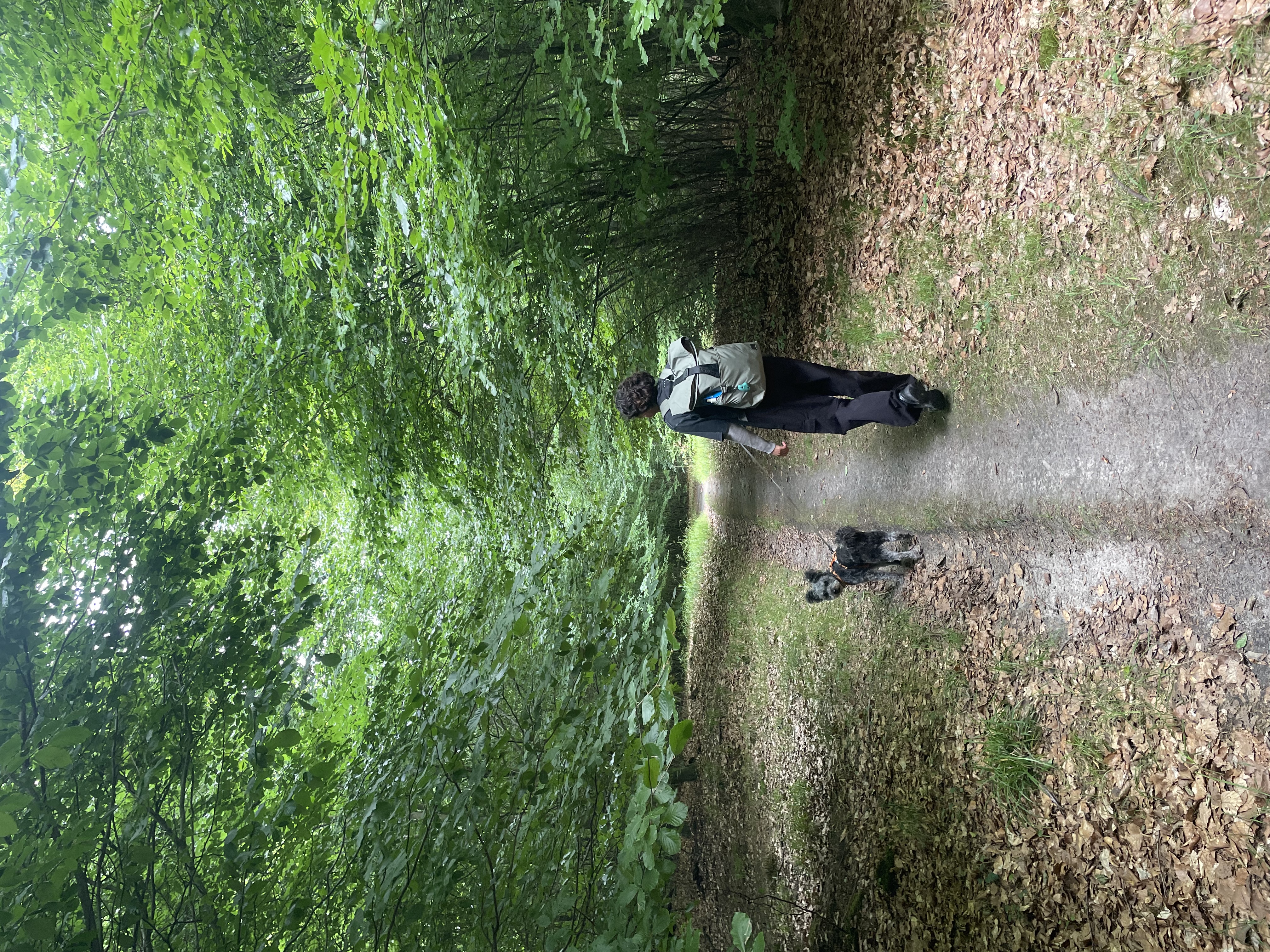 image-7