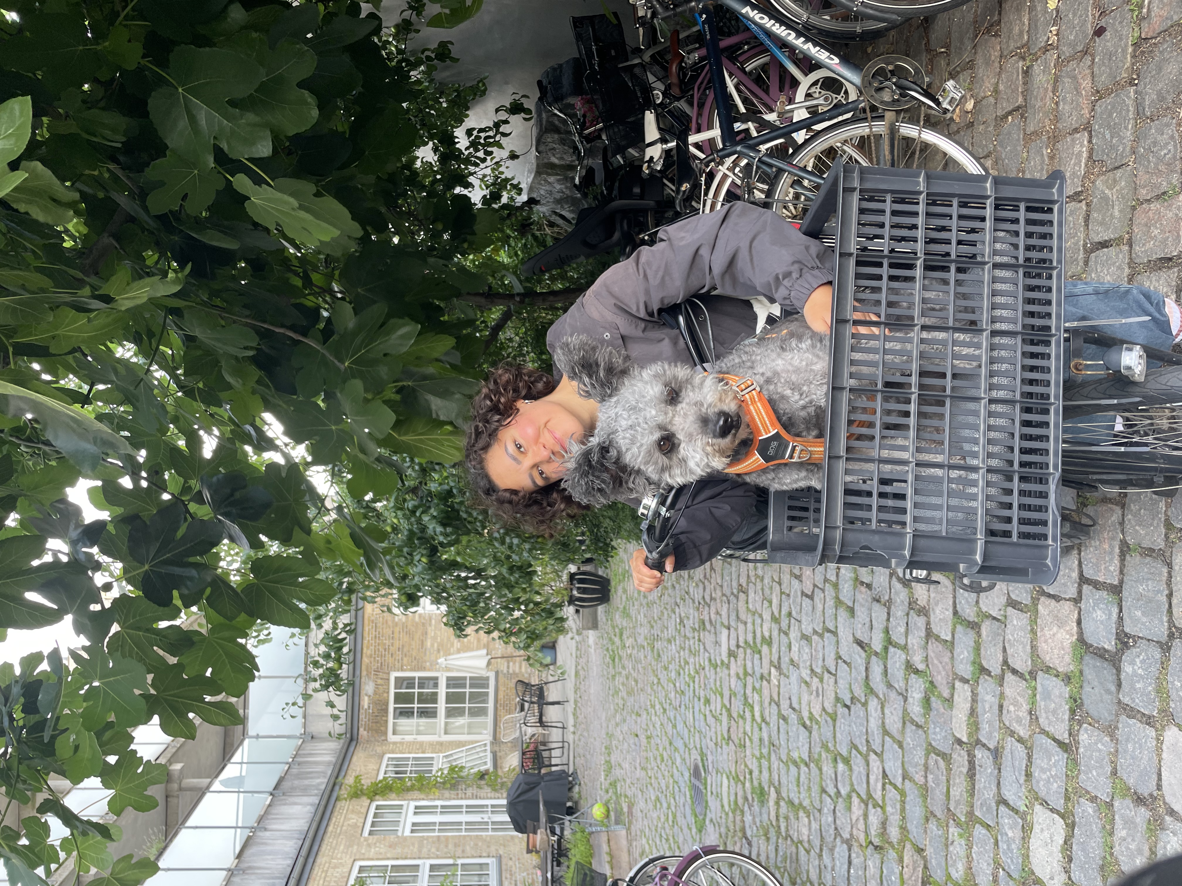 image-11