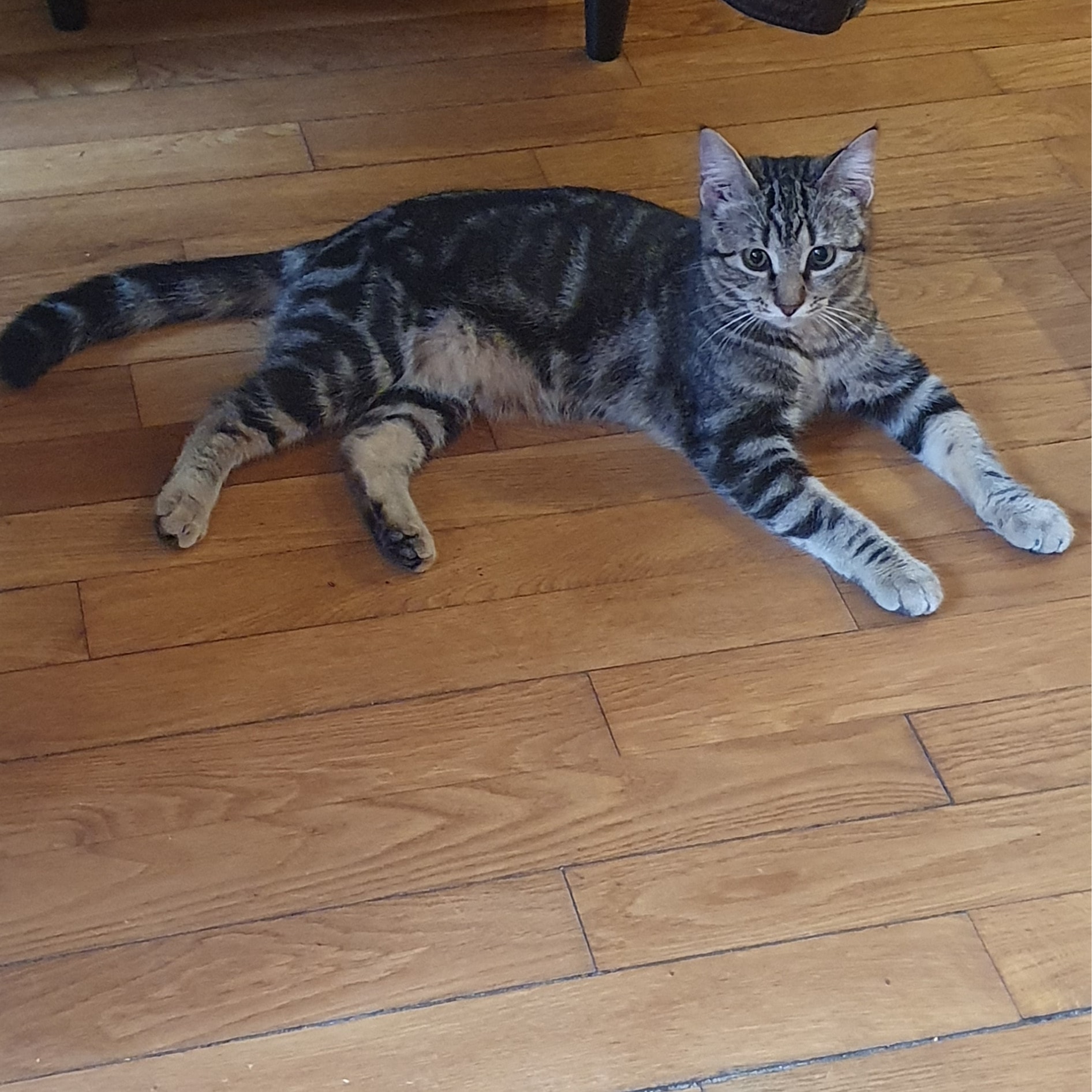 Mia