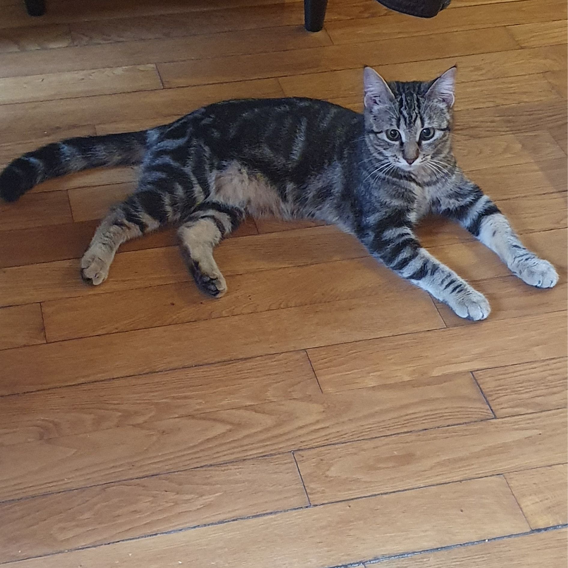 Mia