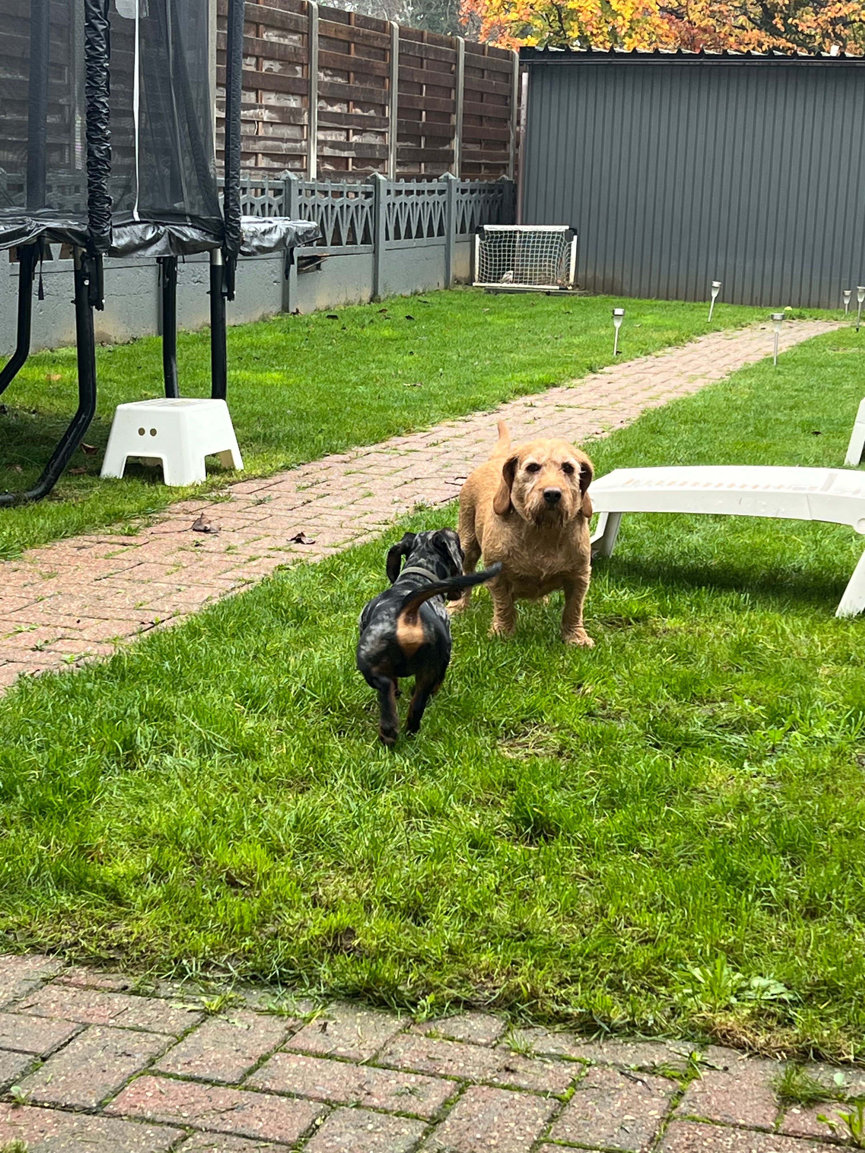 image-46