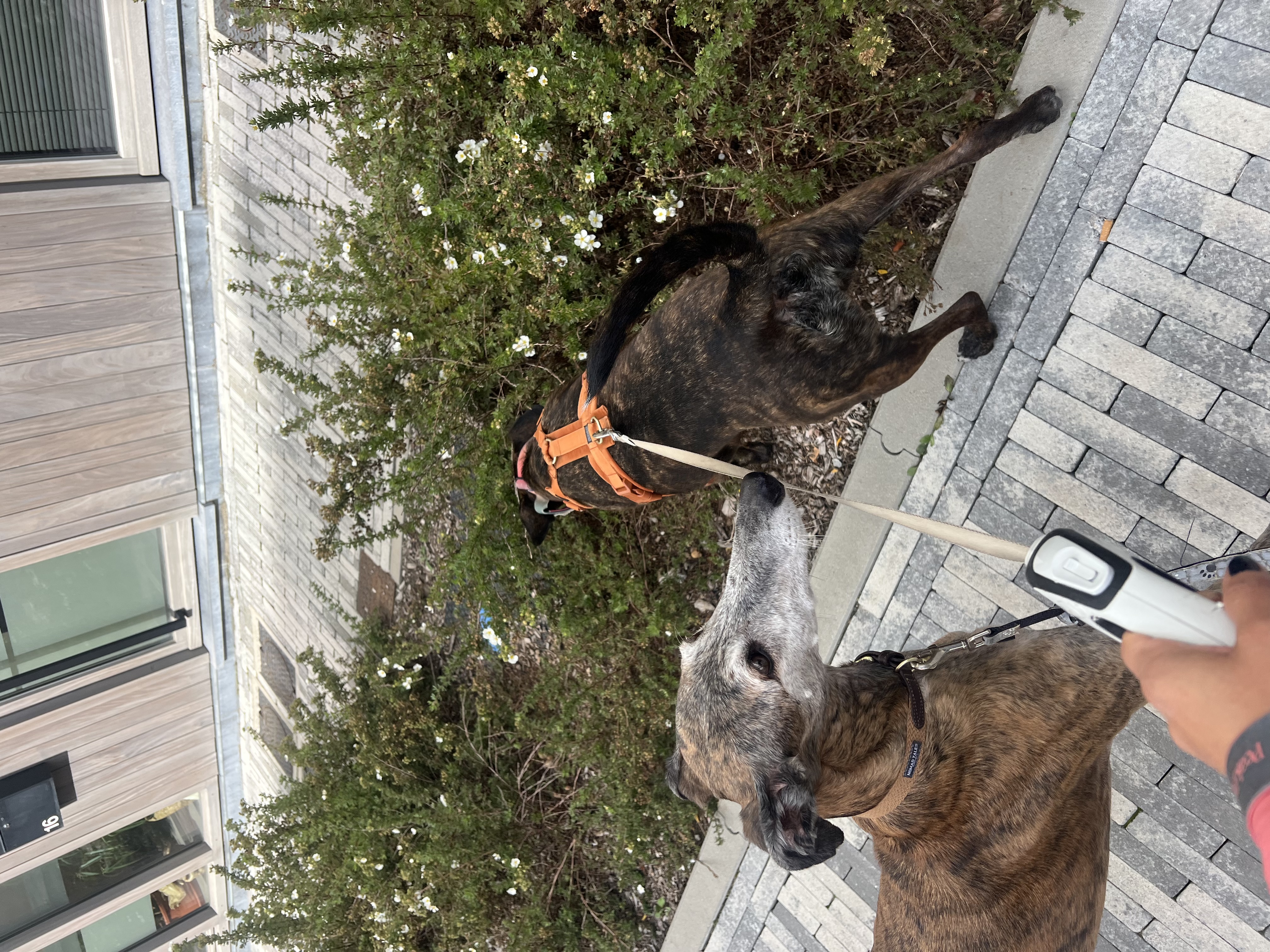 image-35