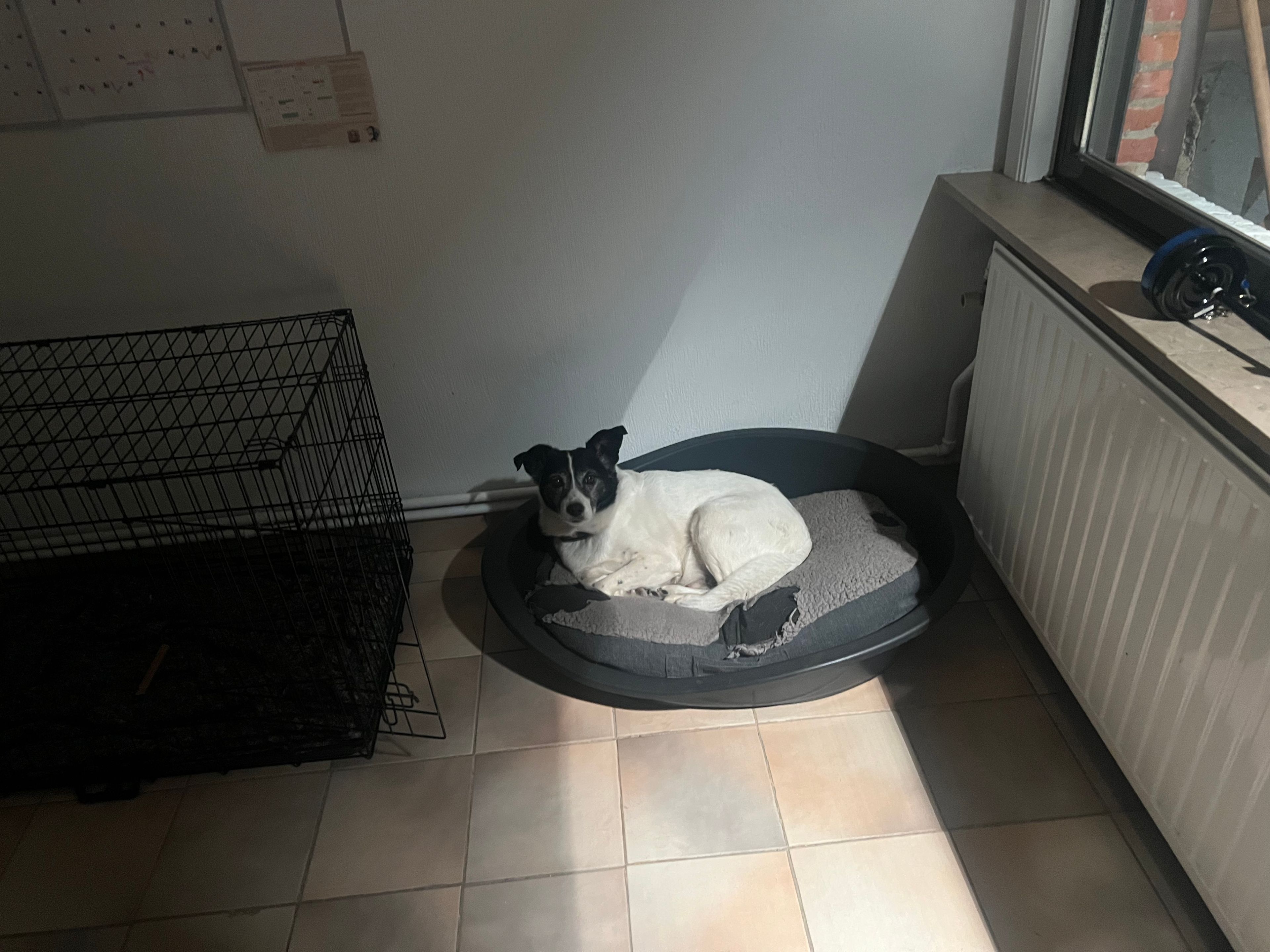 image-36