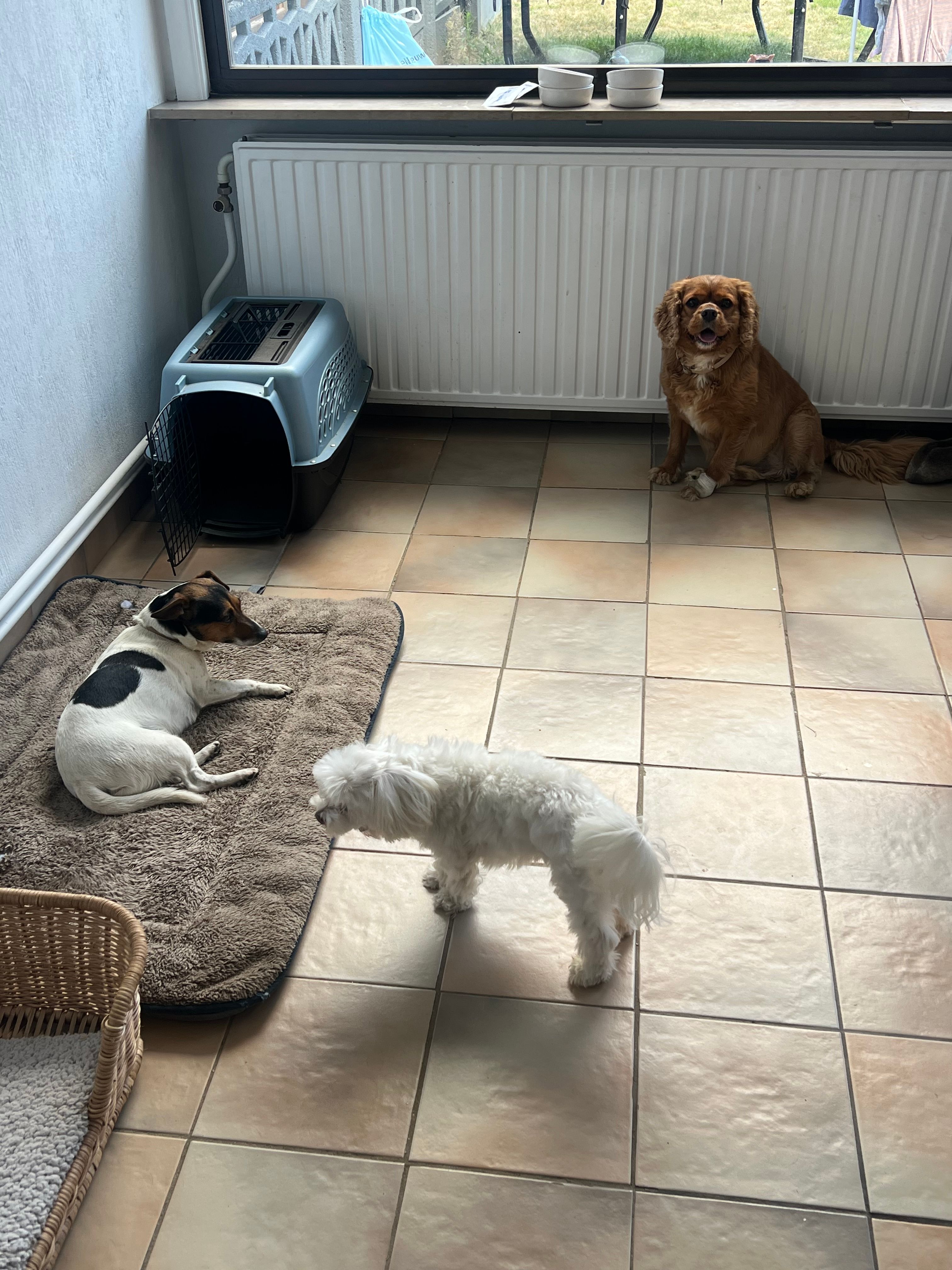 image-34