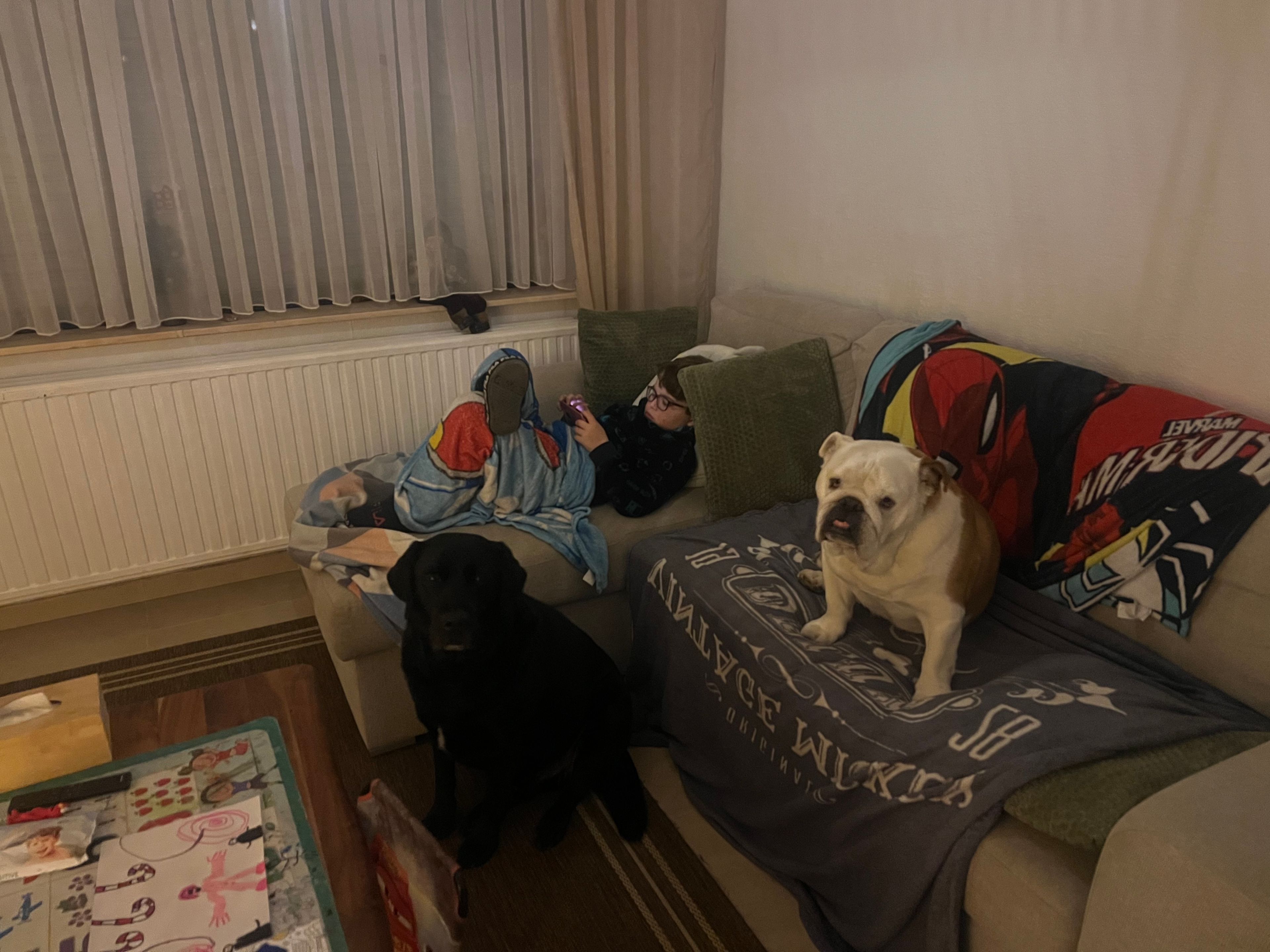 image-43
