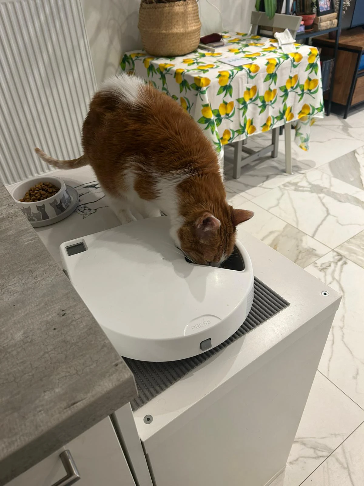 image-15
