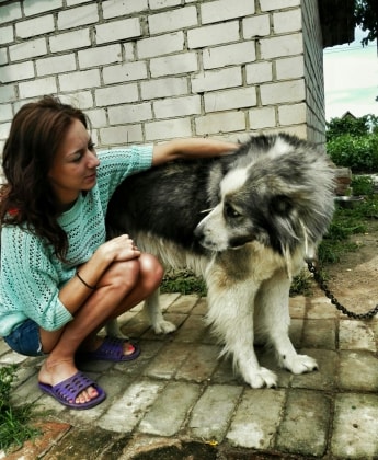 image-2
