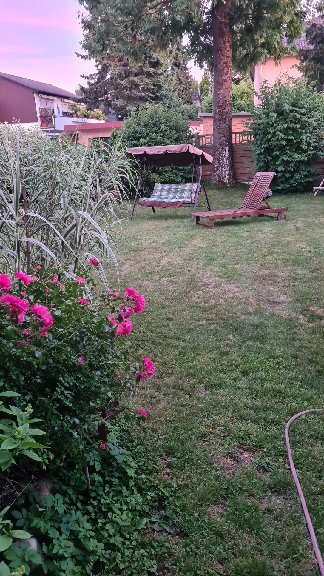 image-20