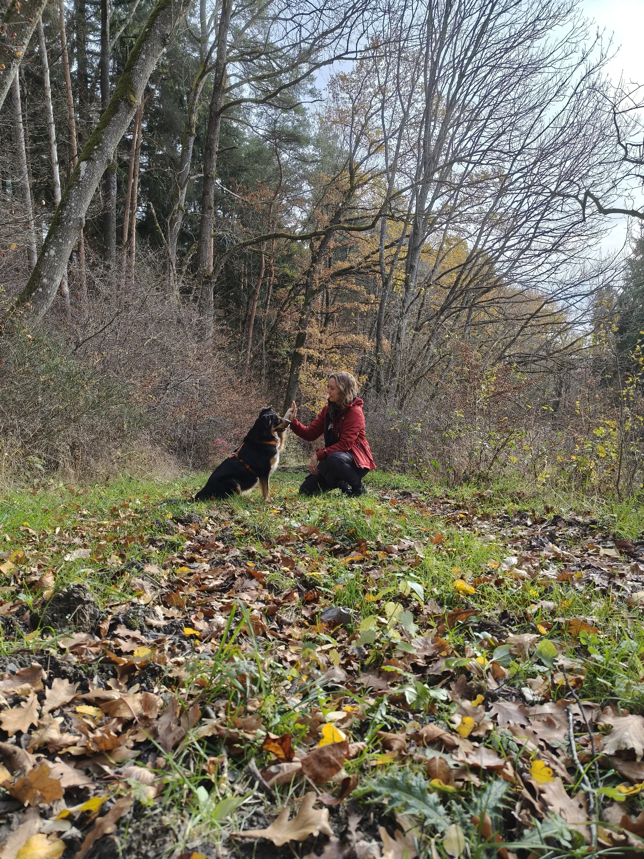 image-5