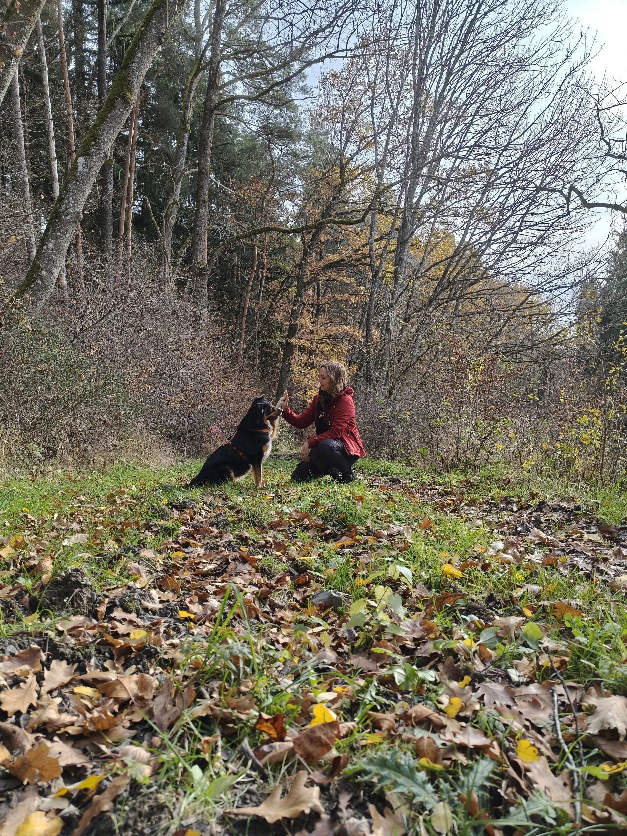 image-5