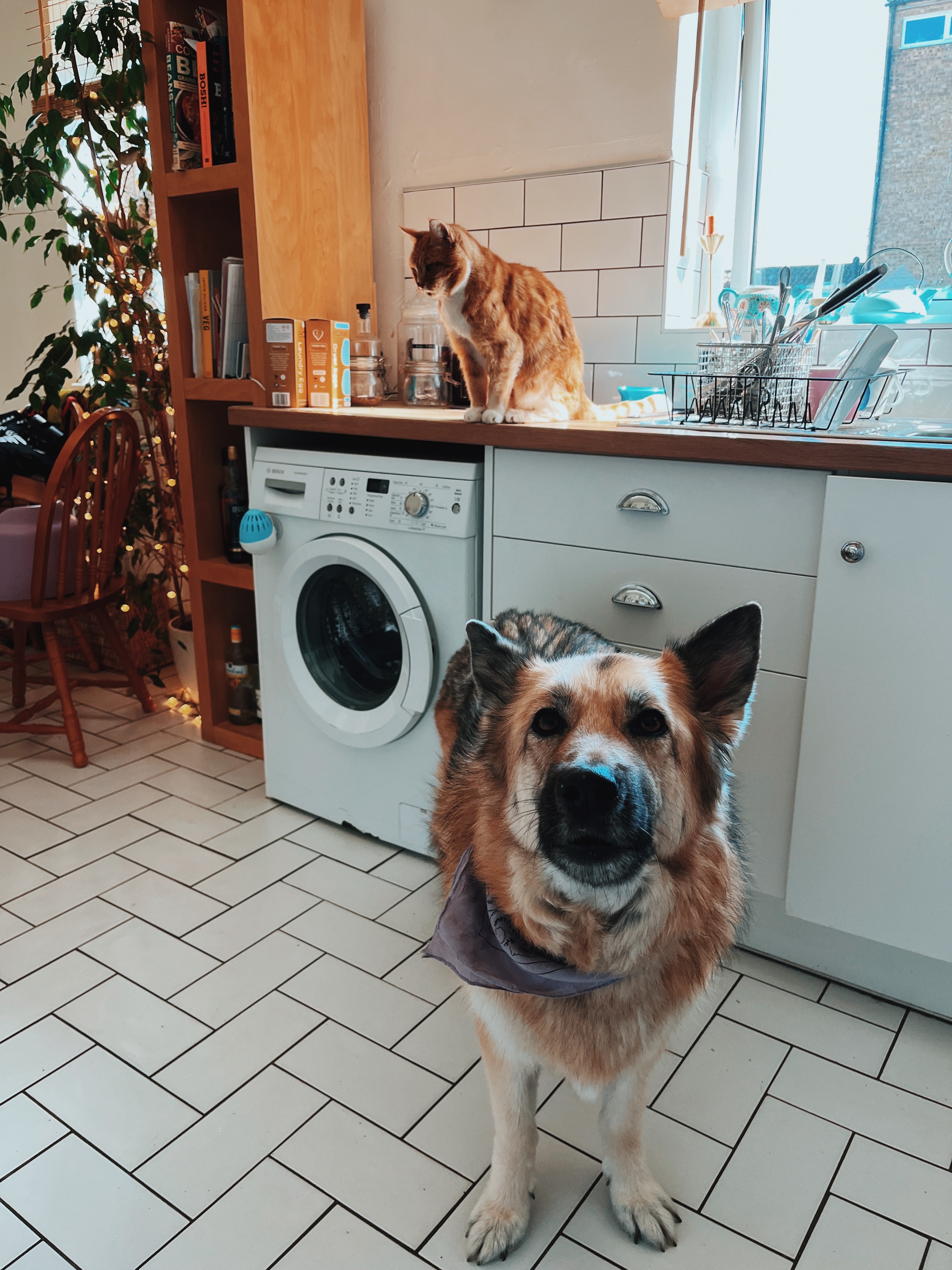 image-18