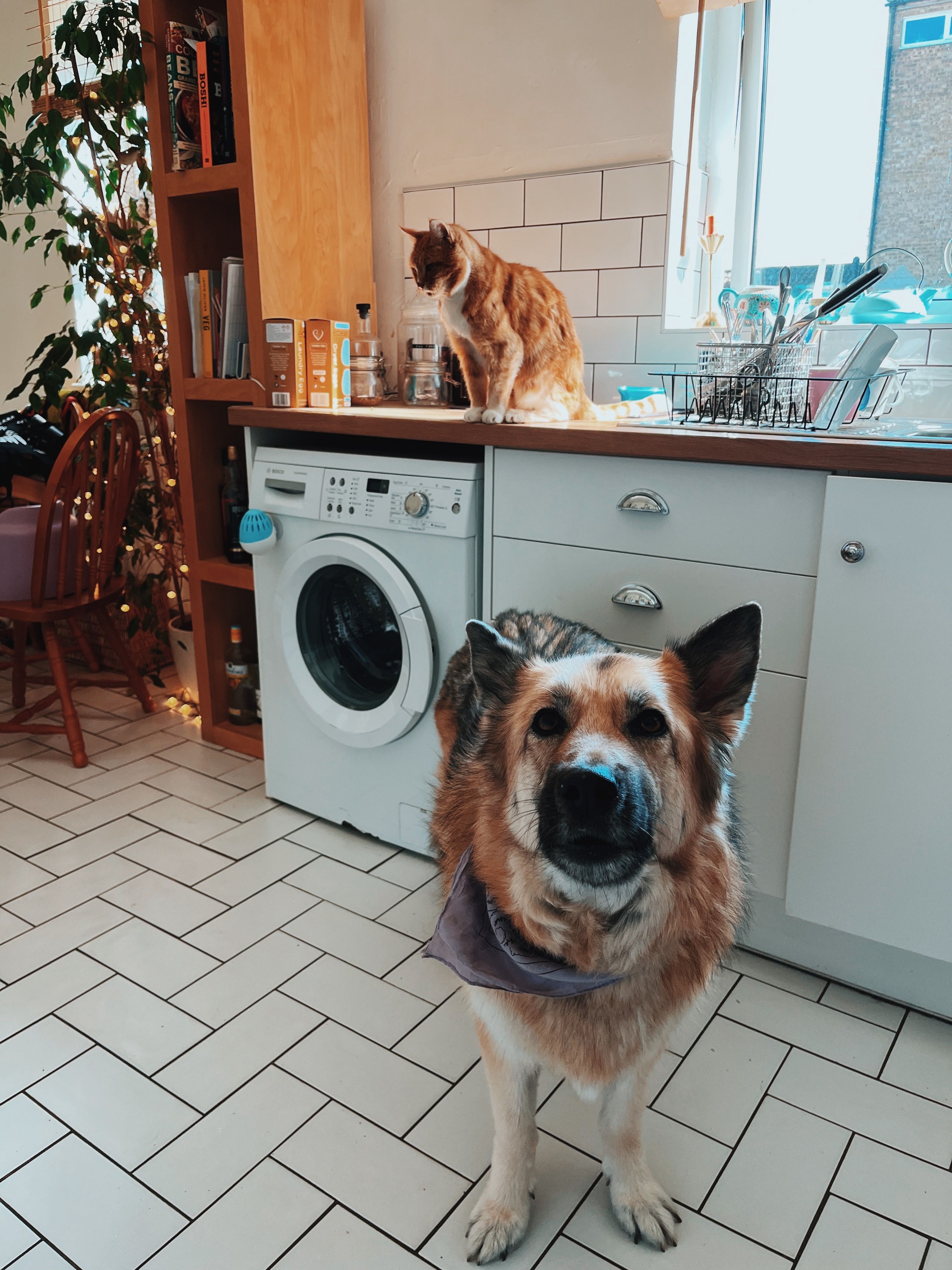 image-18