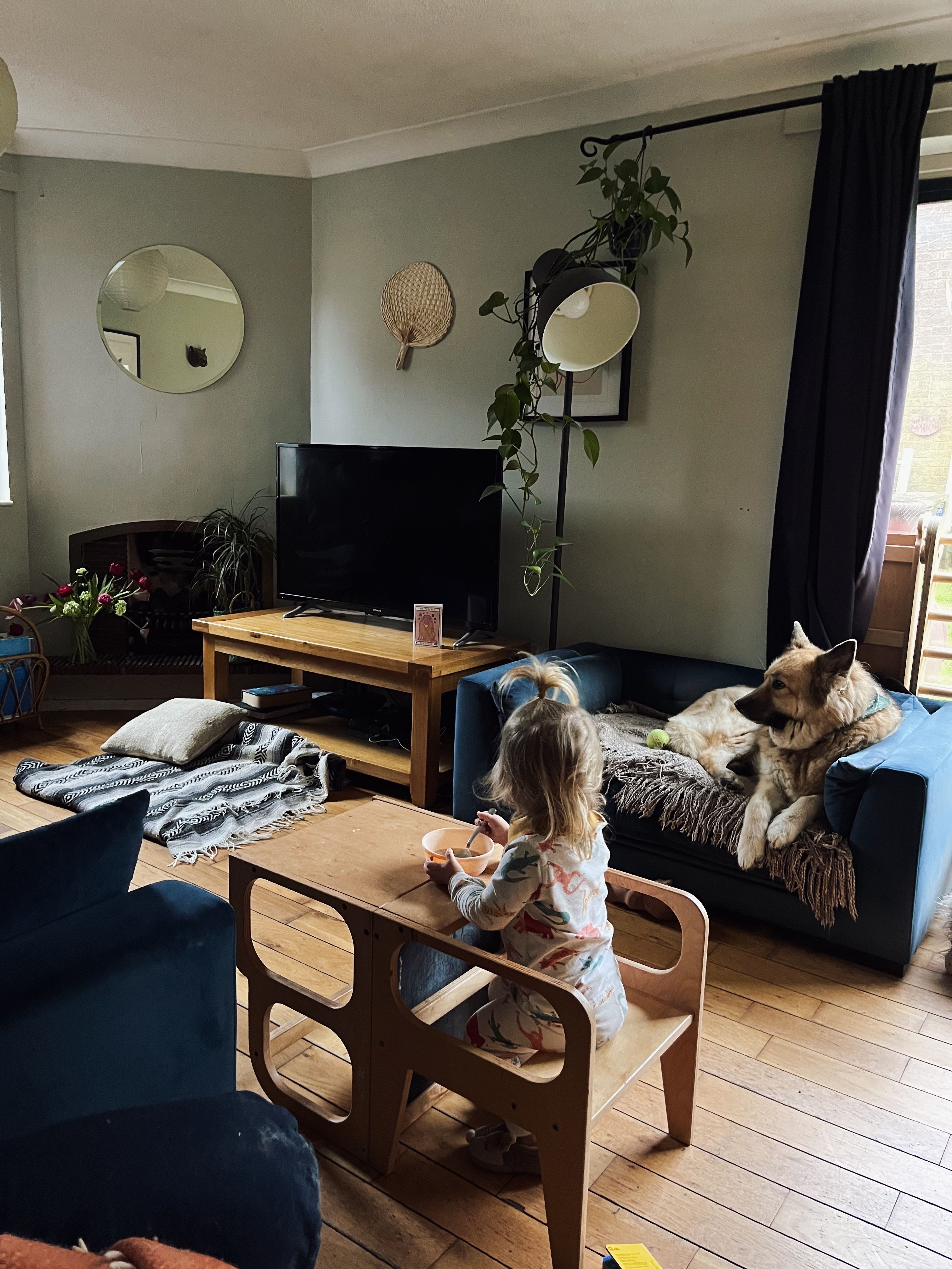 image-19