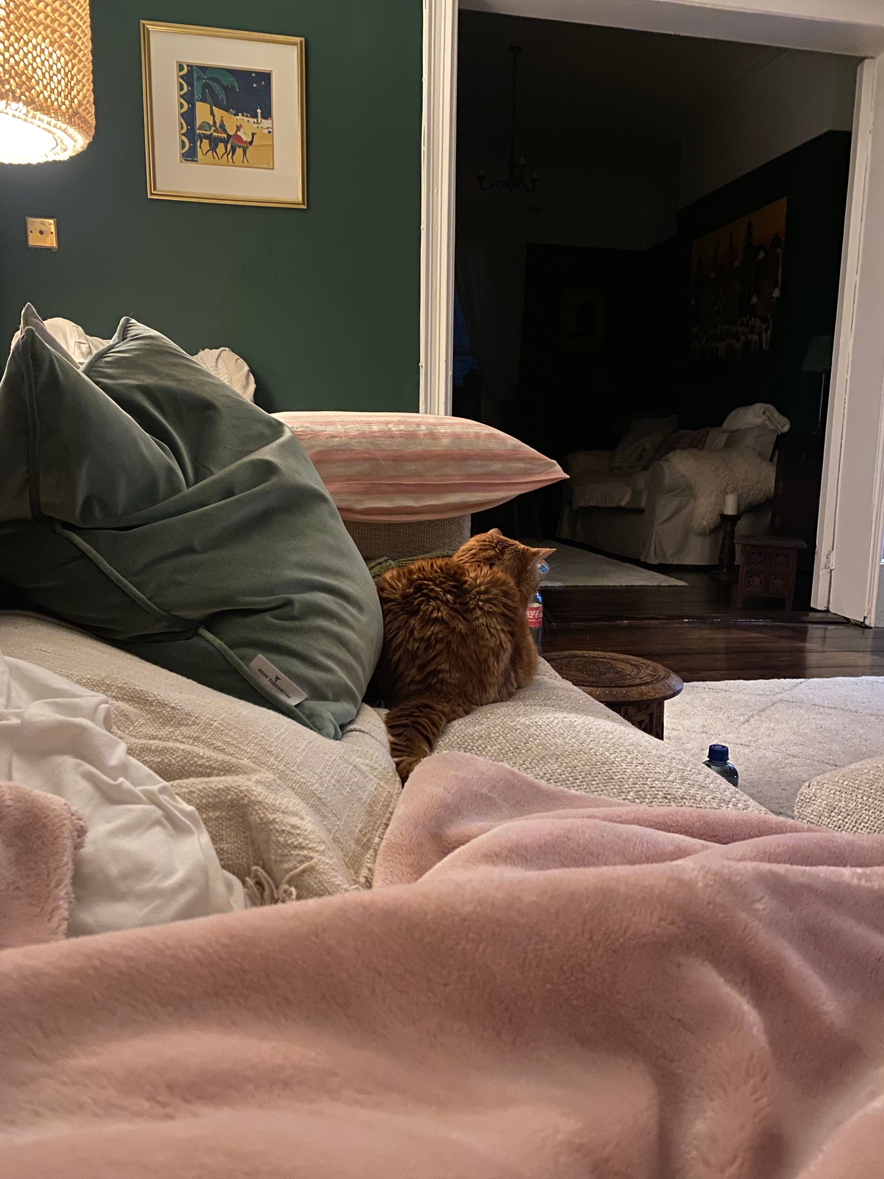 image-9
