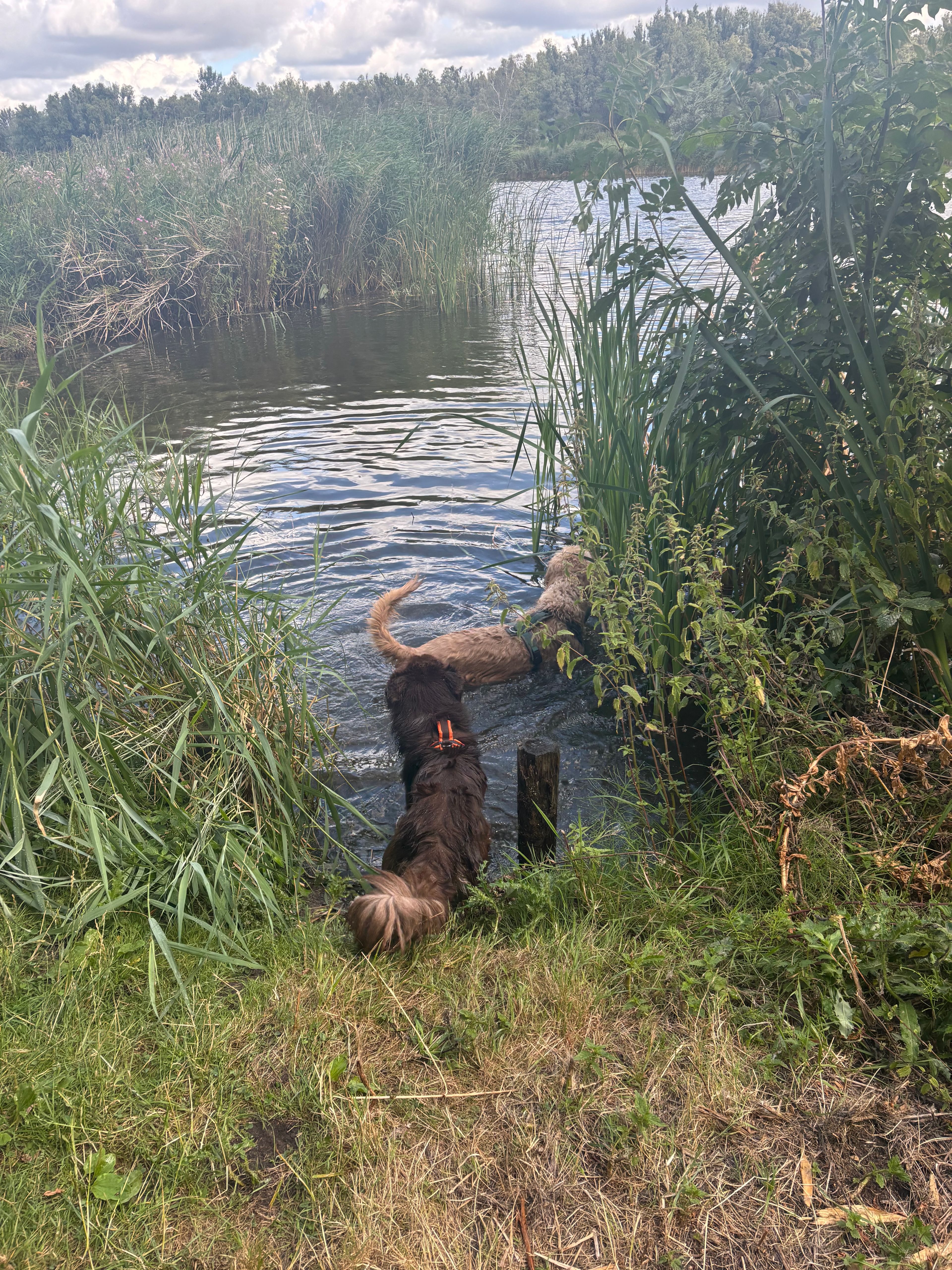 image-8