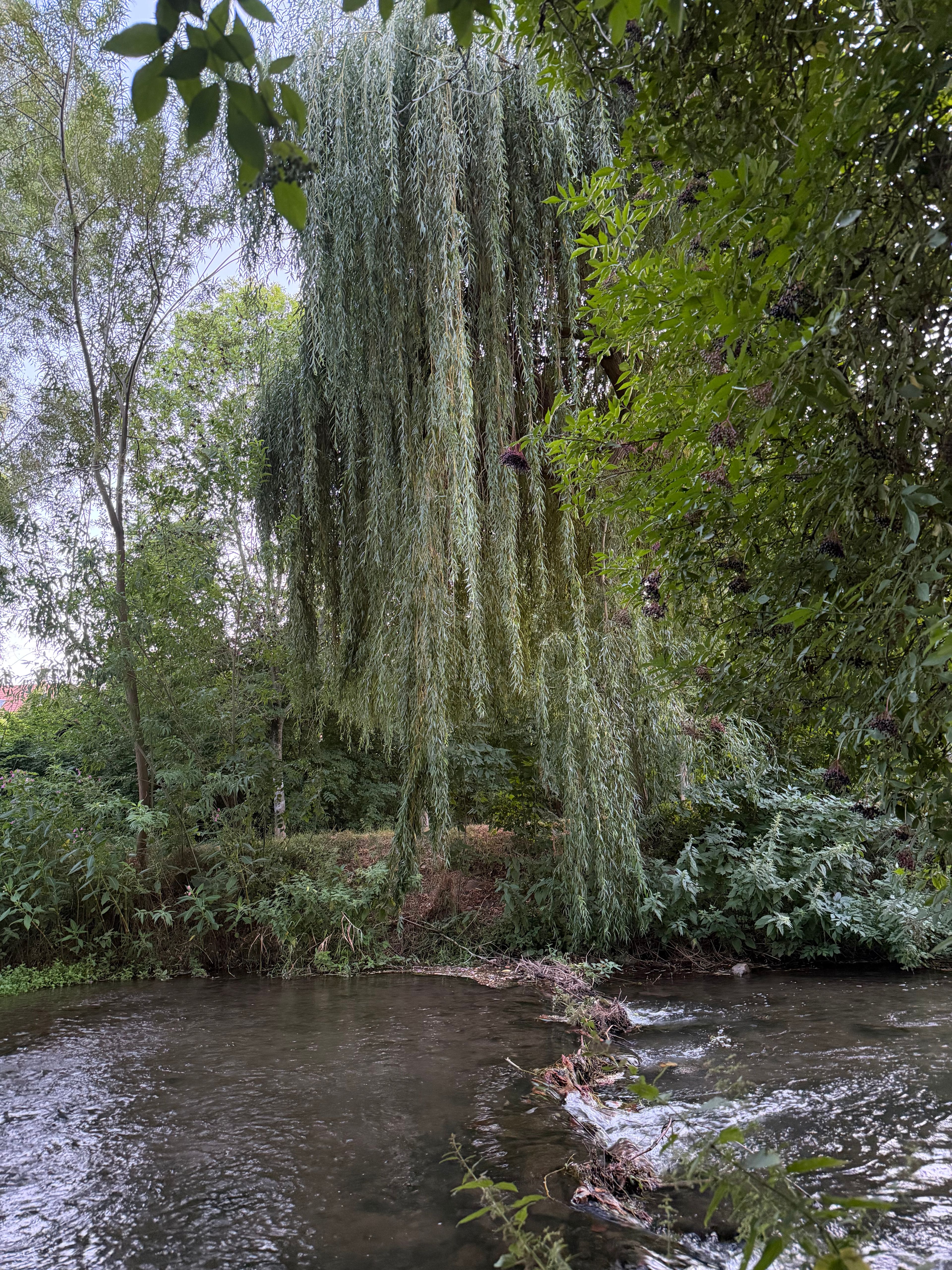 image-18