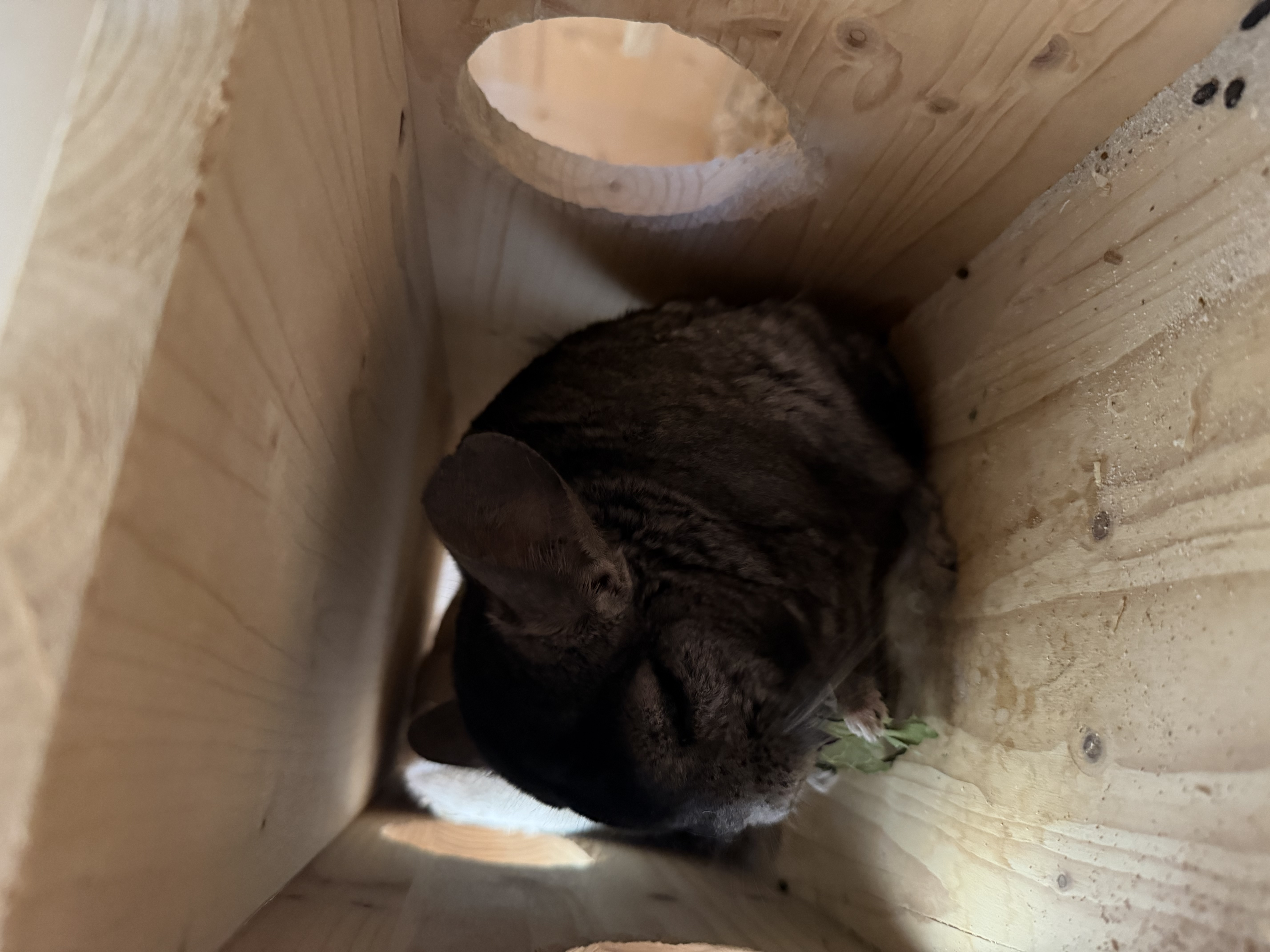 image-11