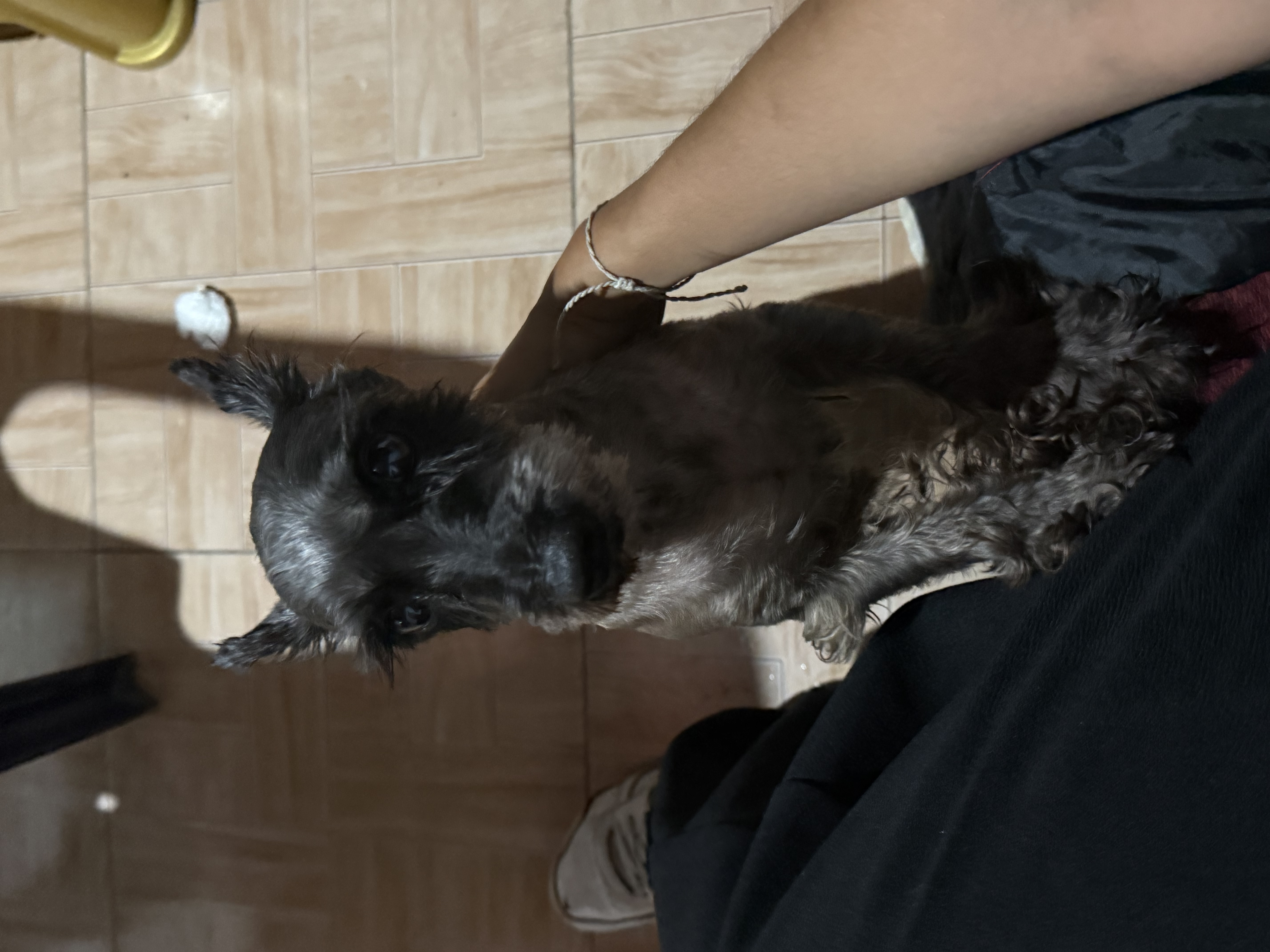 image-8