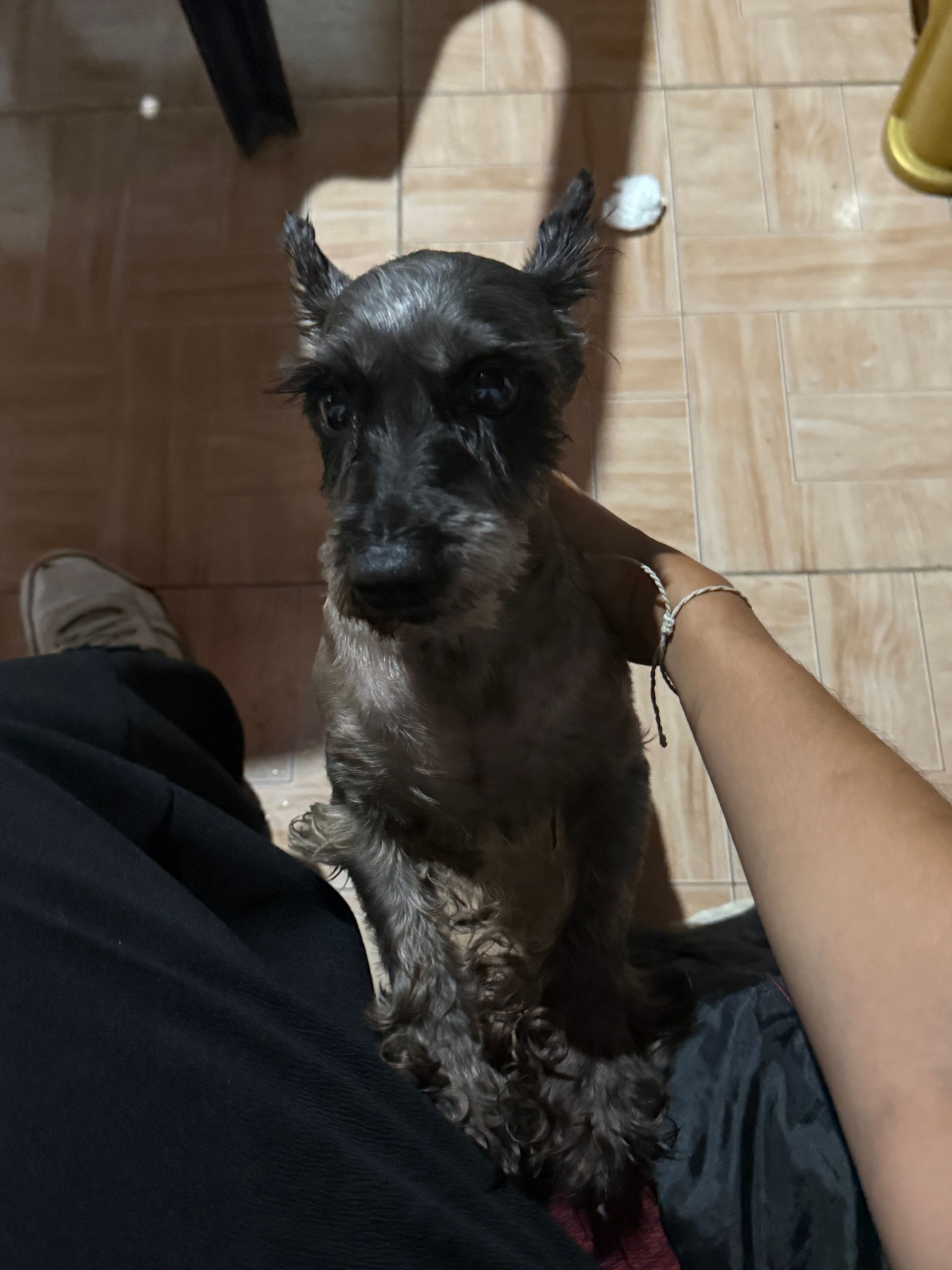 image-8