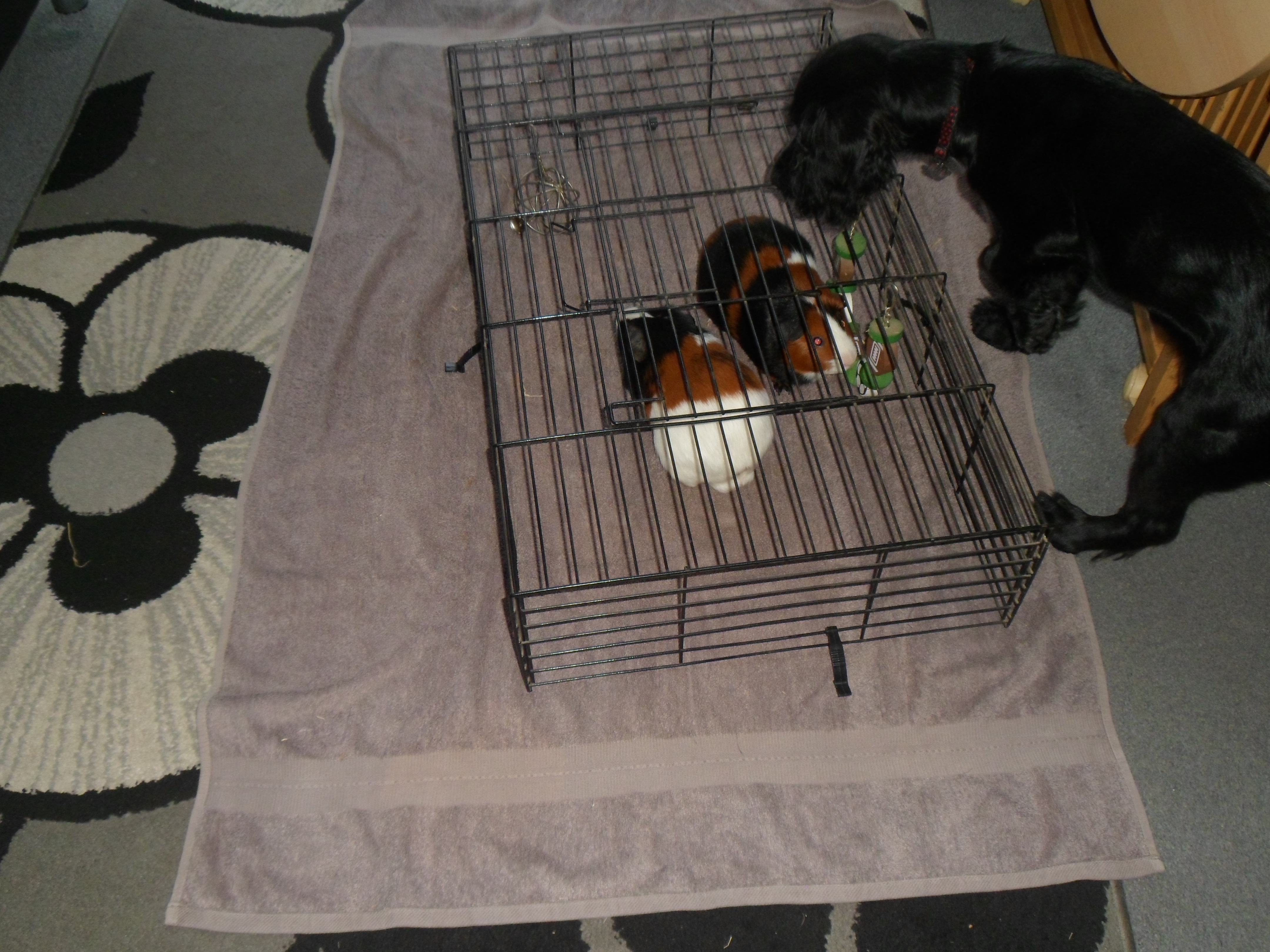 image-2