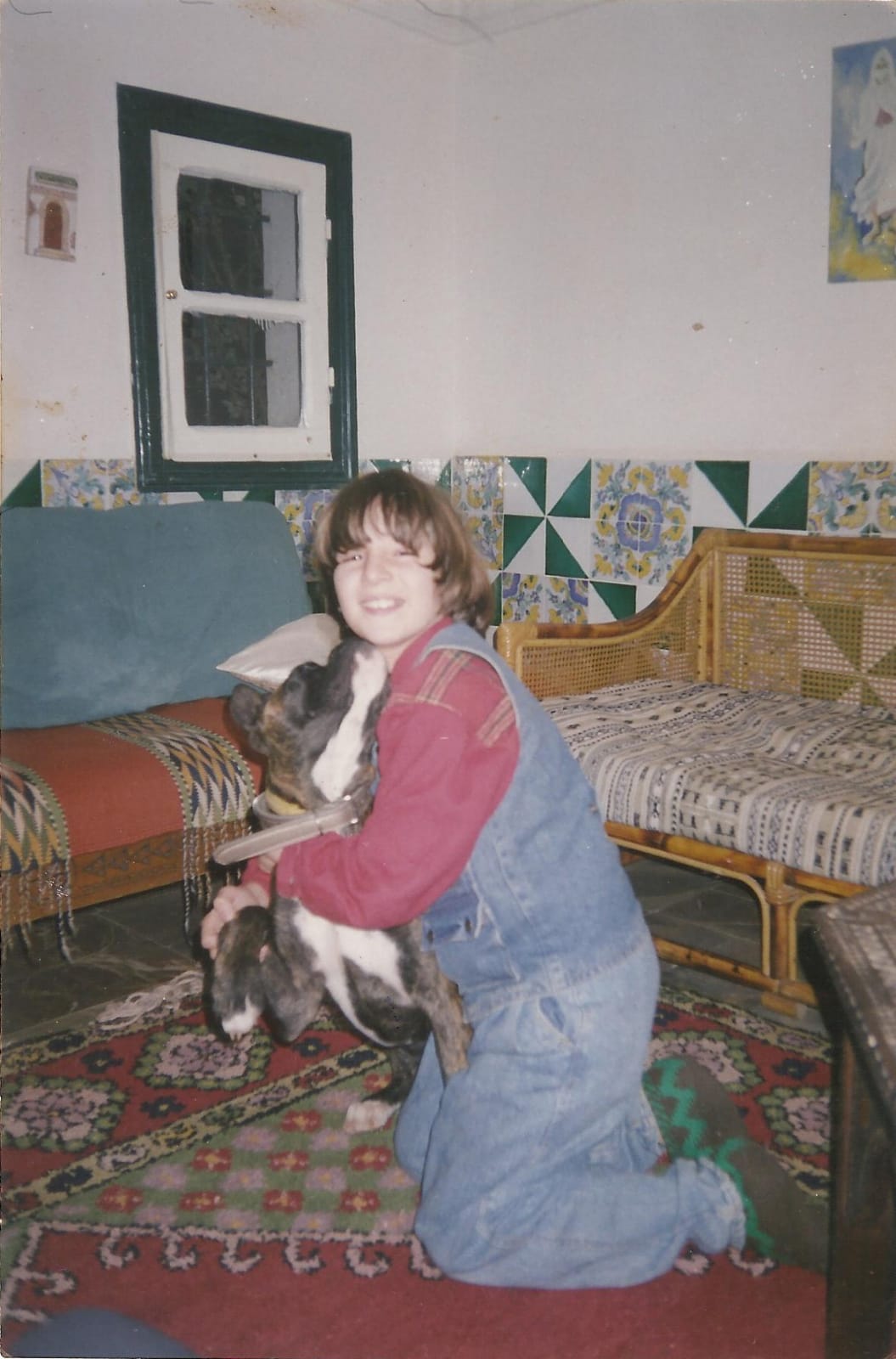 image-6