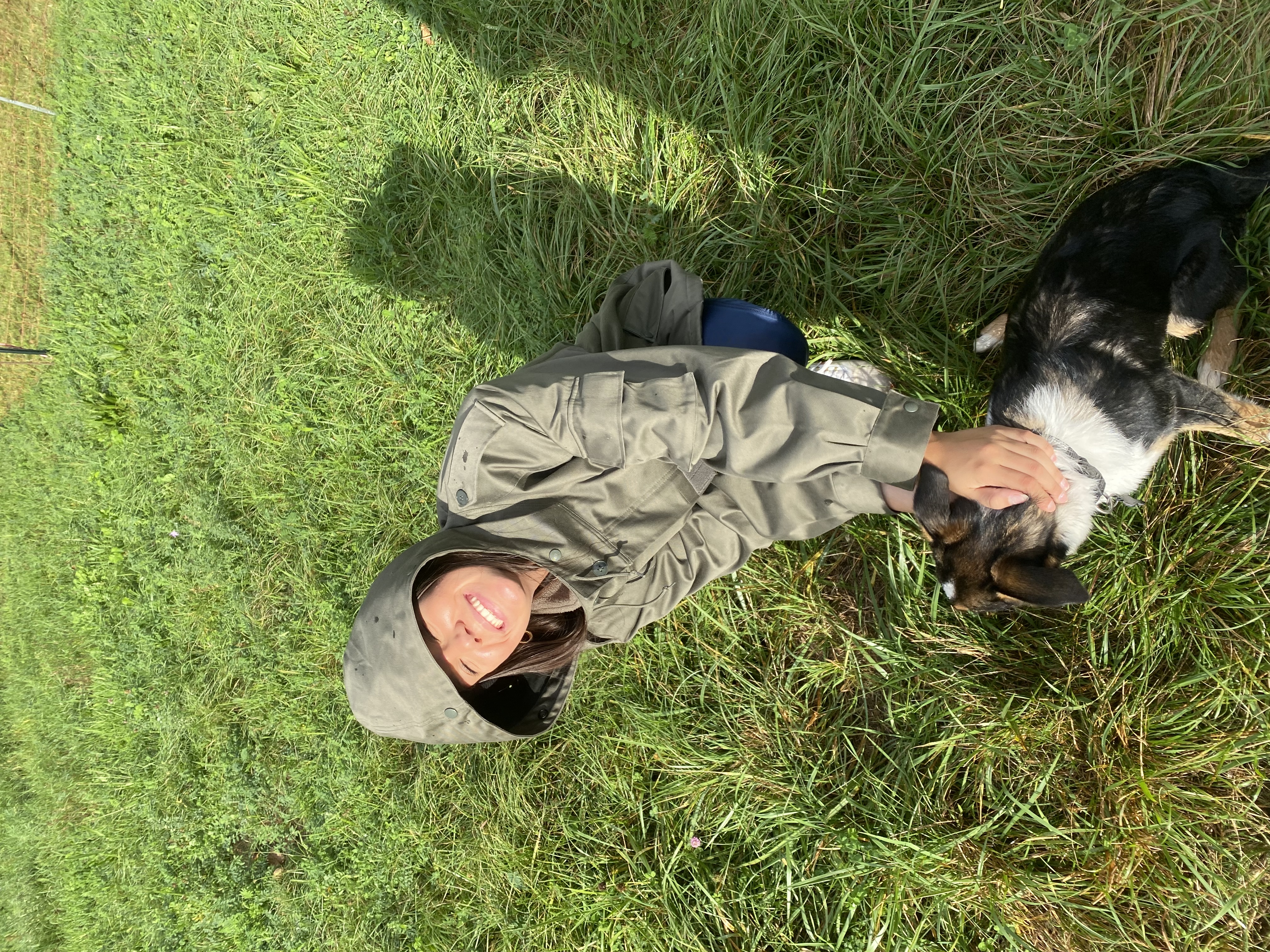 image-2